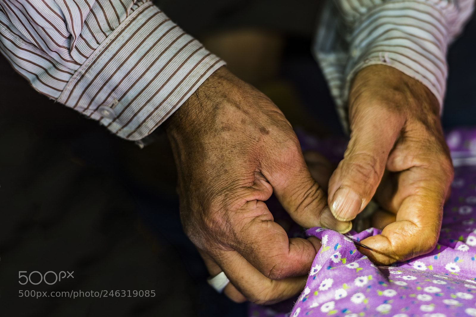 Nikon D850 sample photo. Hands photography