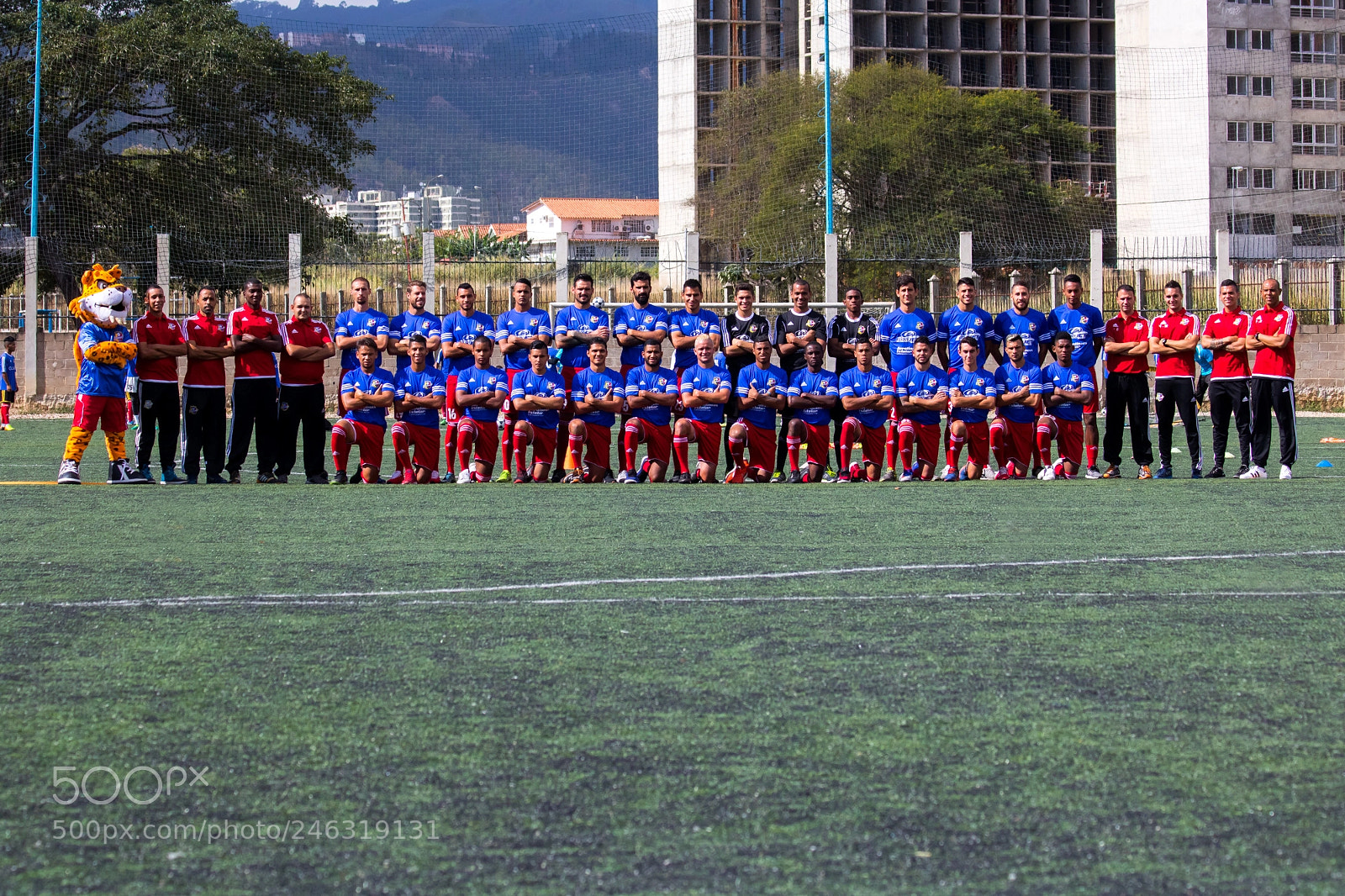 Canon EOS 750D (EOS Rebel T6i / EOS Kiss X8i) sample photo. Entrenamiento atl tico venezuela photography