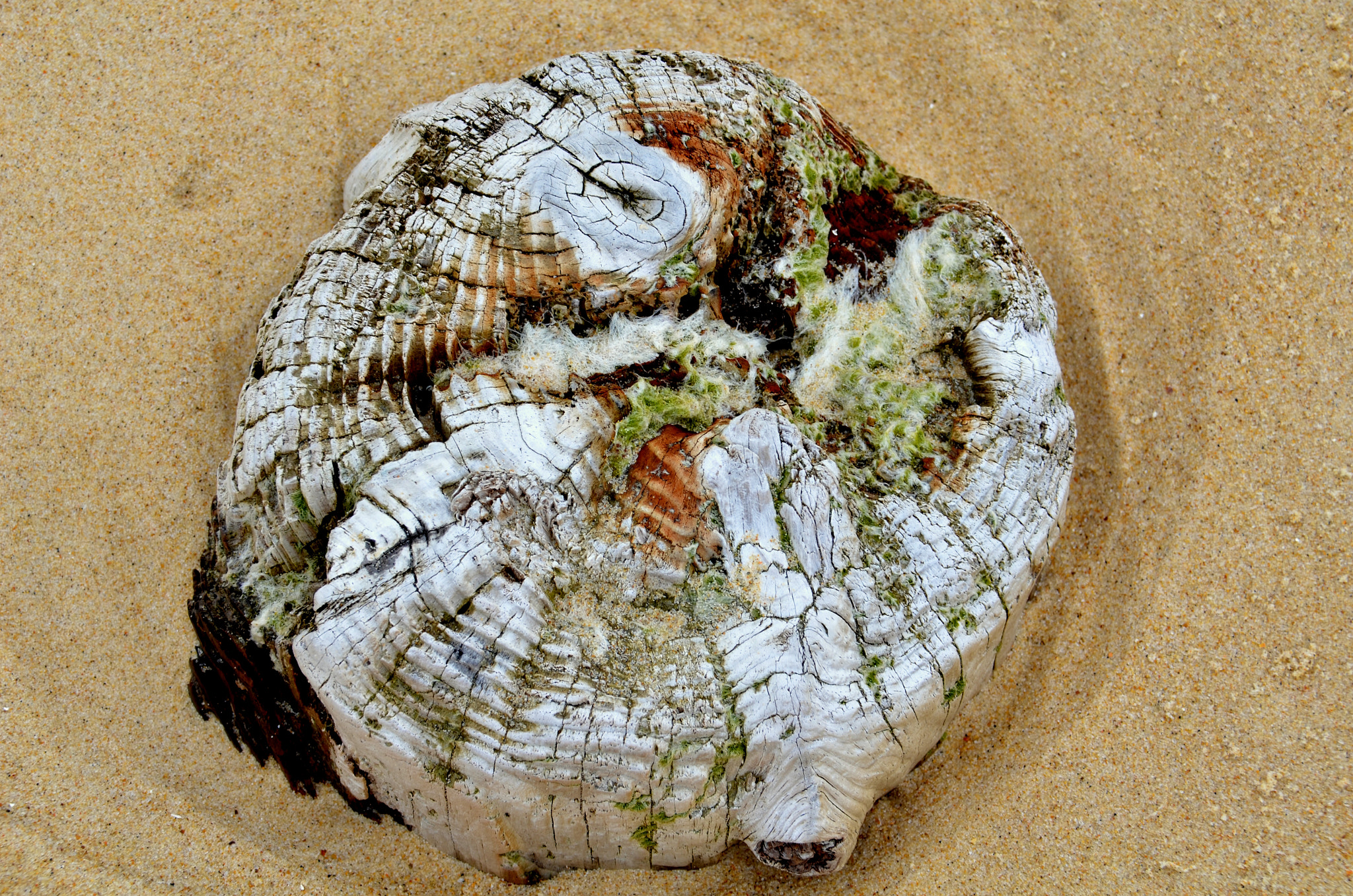 Nikon D5100 sample photo. Usure de la mer et du temps a mimizan photography