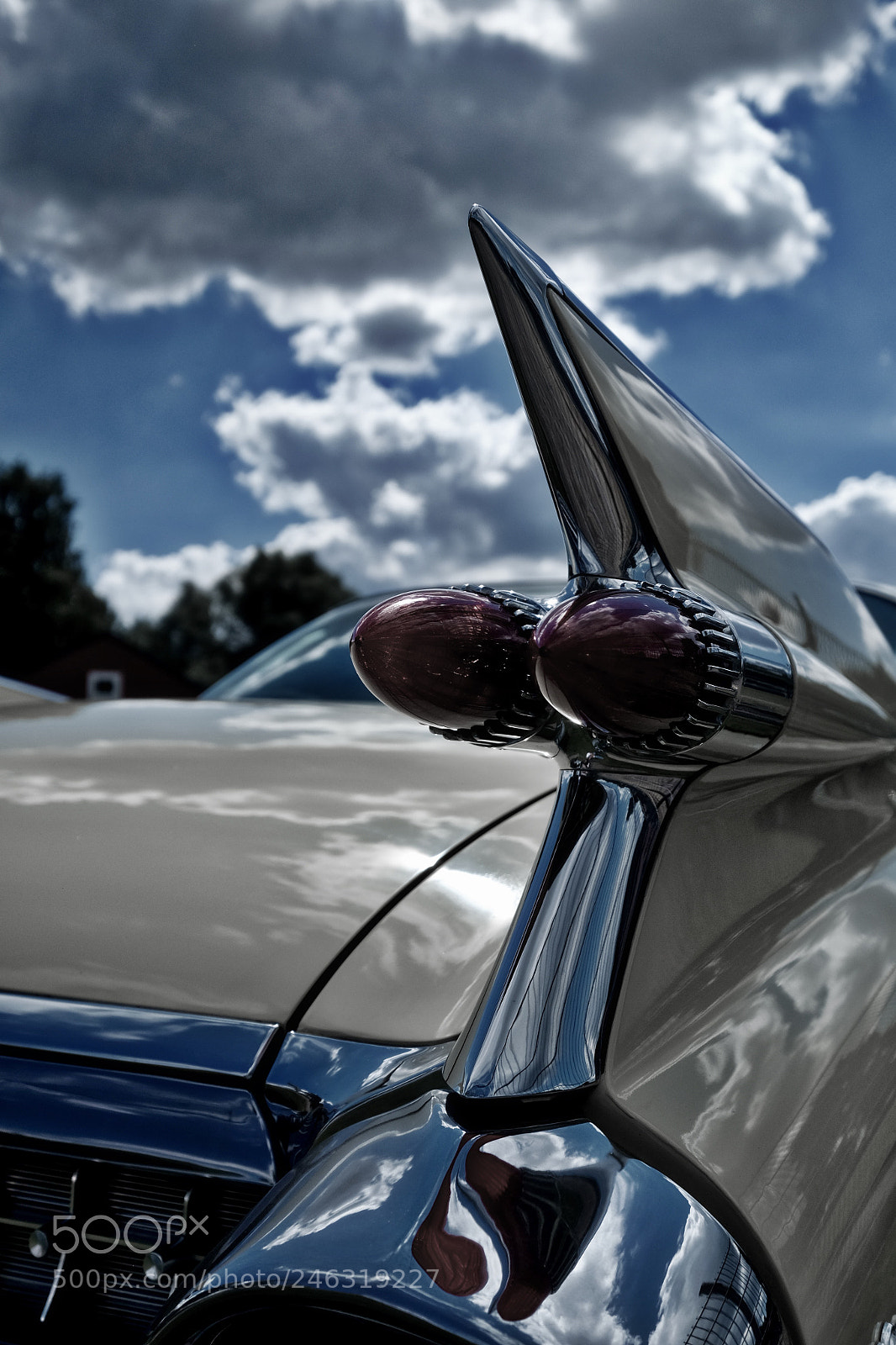Fujifilm X-E2 sample photo. Wings photography