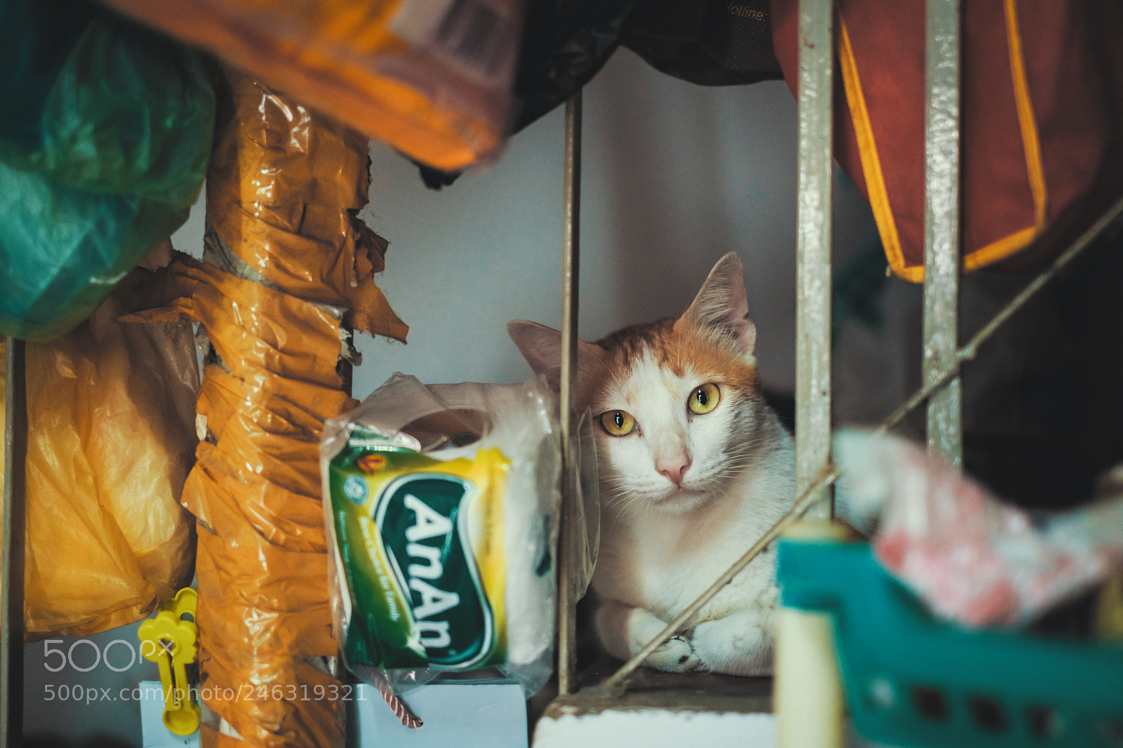 Fujifilm X-T20 sample photo. Stair guardian photography
