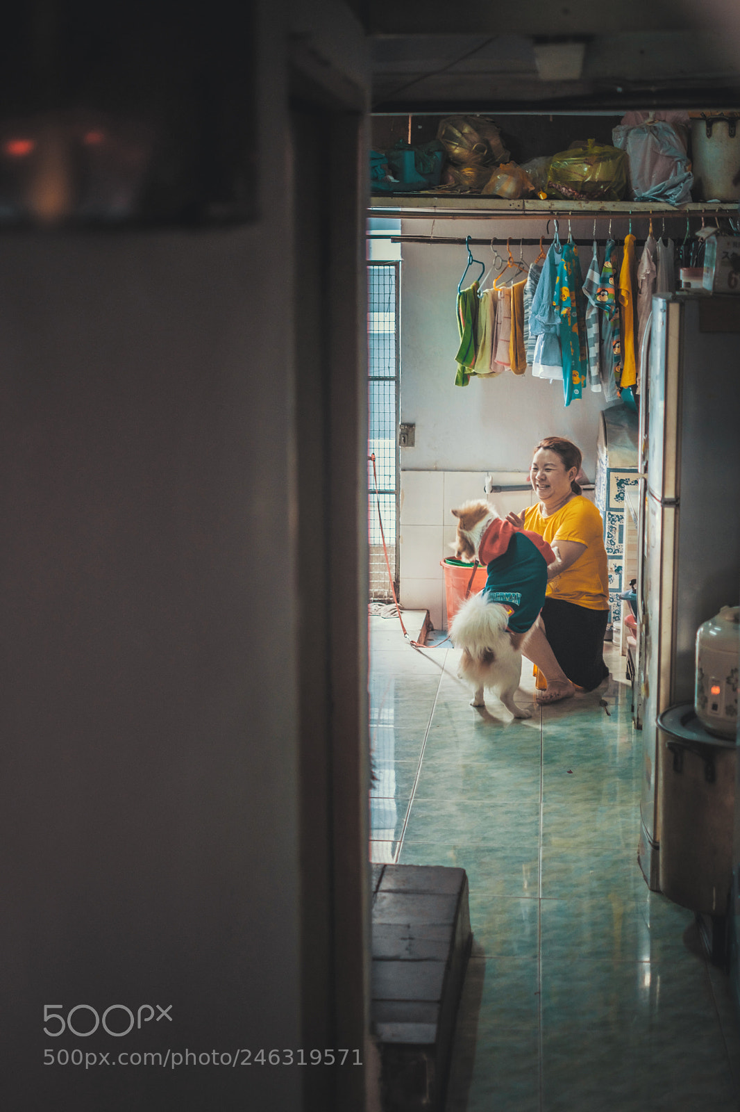 Fujifilm X-T20 sample photo. Year of dog photography