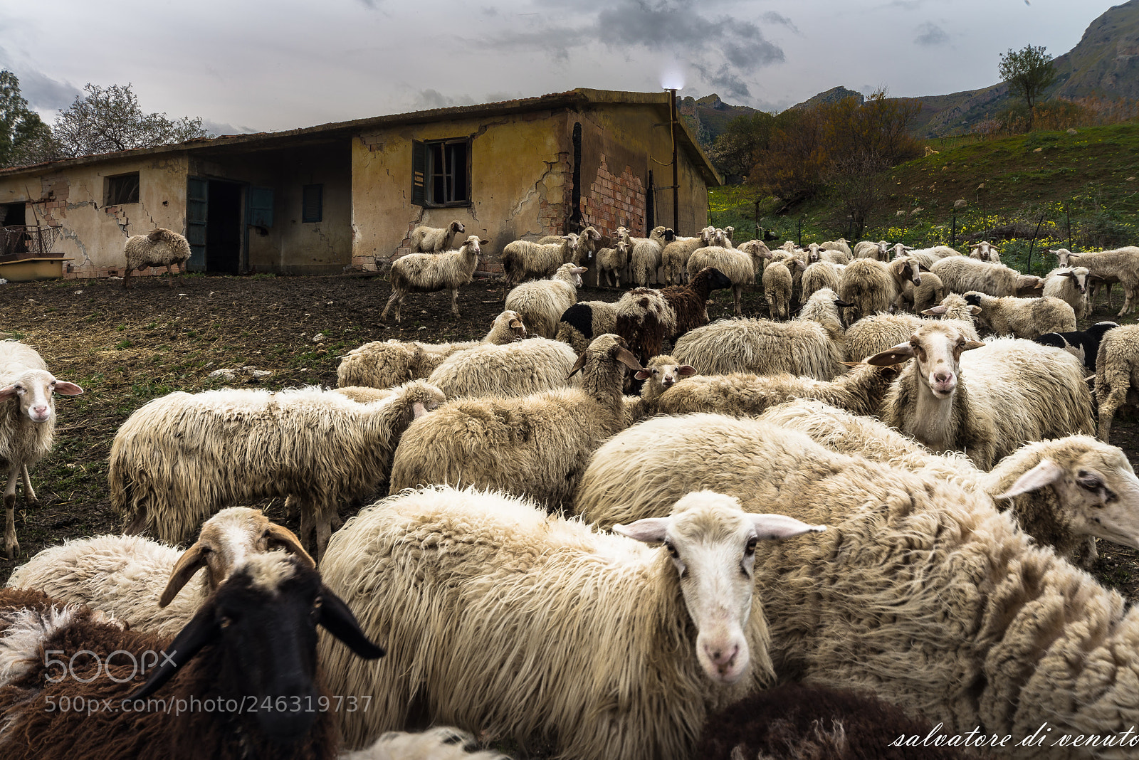 Nikon D610 sample photo. Viaggio photography