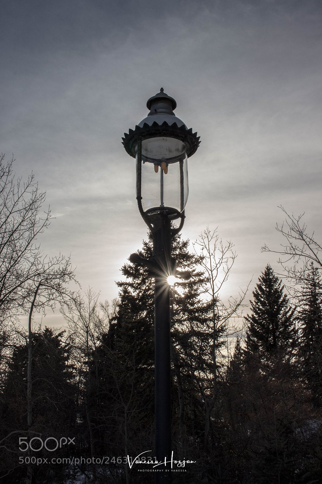 Canon EOS 700D (EOS Rebel T5i / EOS Kiss X7i) sample photo. Calgary january 2018 photography