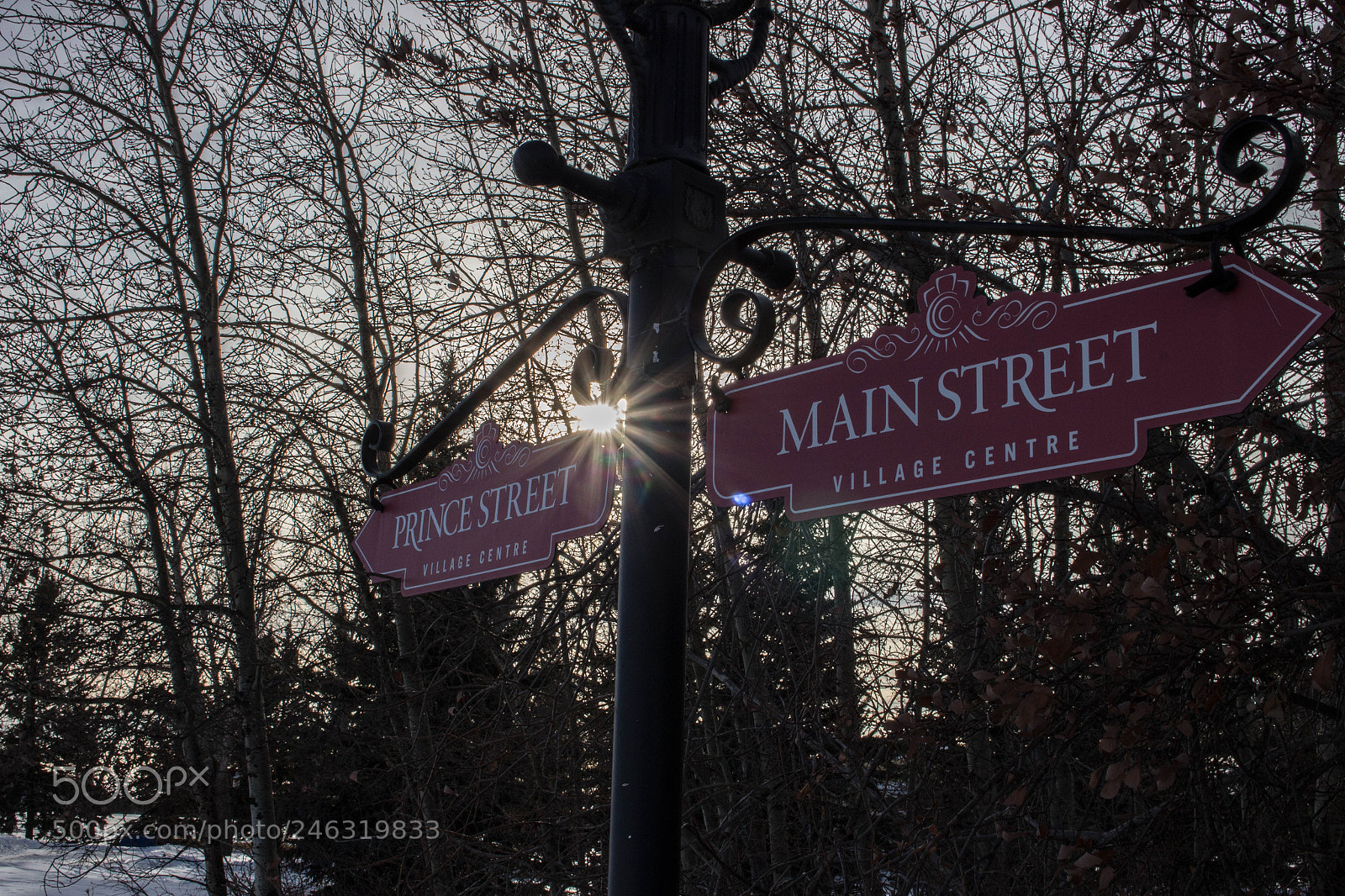 Canon EOS 700D (EOS Rebel T5i / EOS Kiss X7i) sample photo. Calgary january 2018 photography