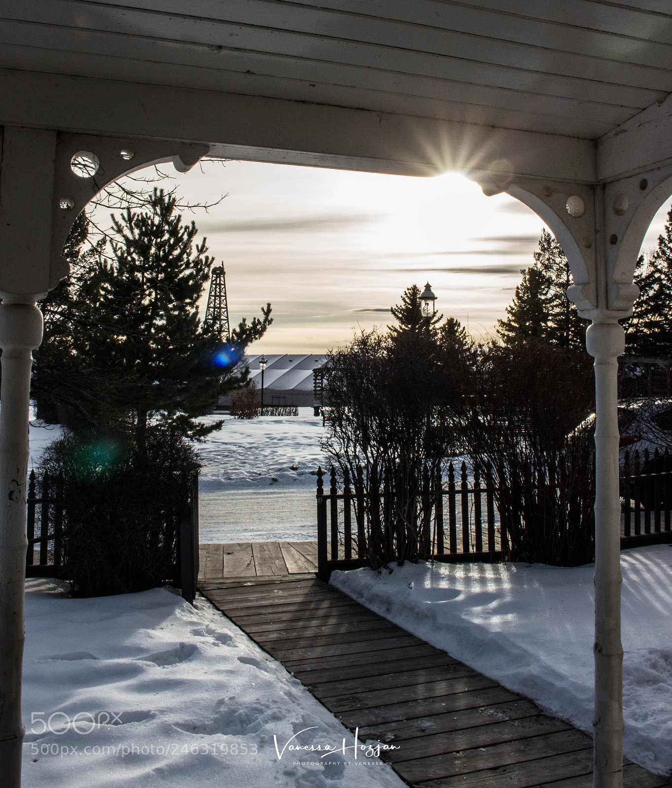 Canon EOS 700D (EOS Rebel T5i / EOS Kiss X7i) sample photo. Calgary january 2018 photography