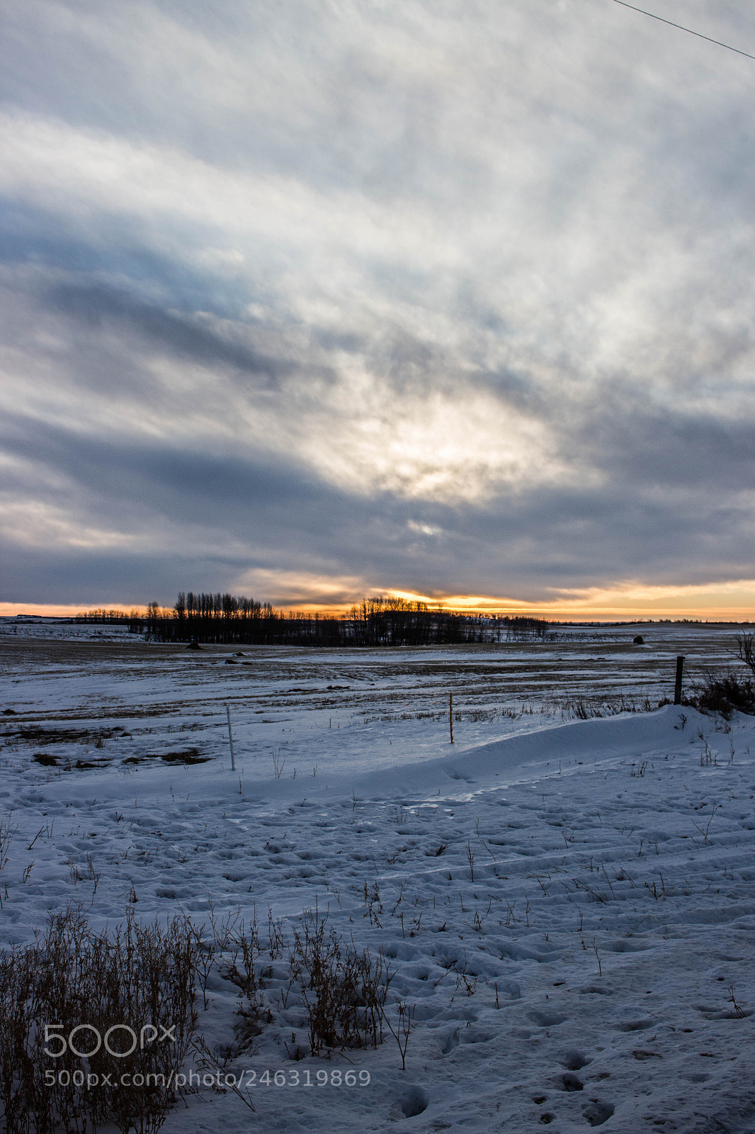 Canon EOS 700D (EOS Rebel T5i / EOS Kiss X7i) sample photo. Calgary january 2018 photography