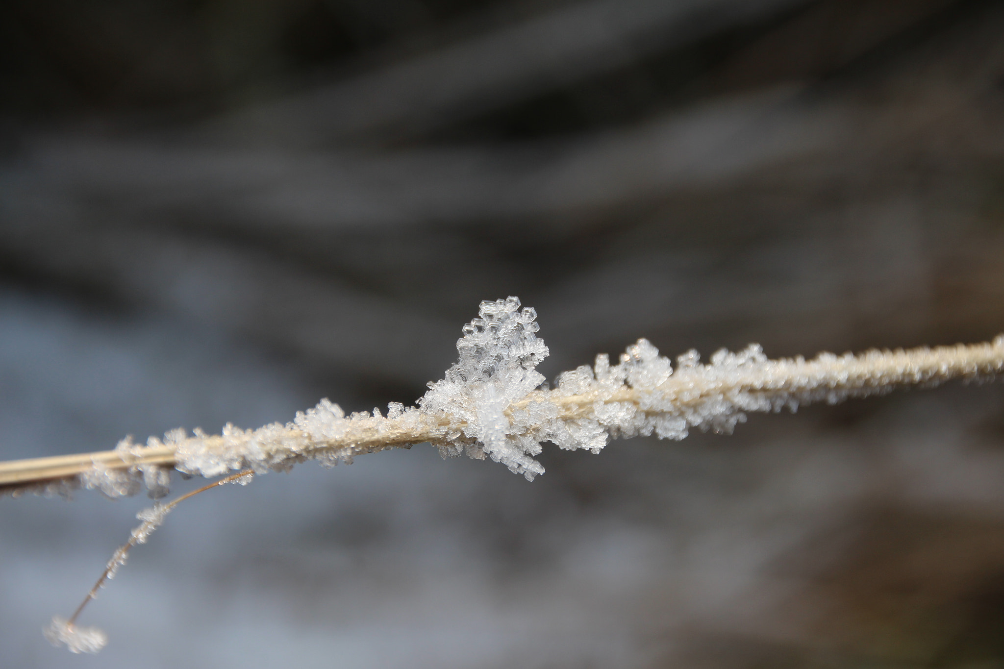 Canon EF 22-55mm f/4-5.6 USM sample photo