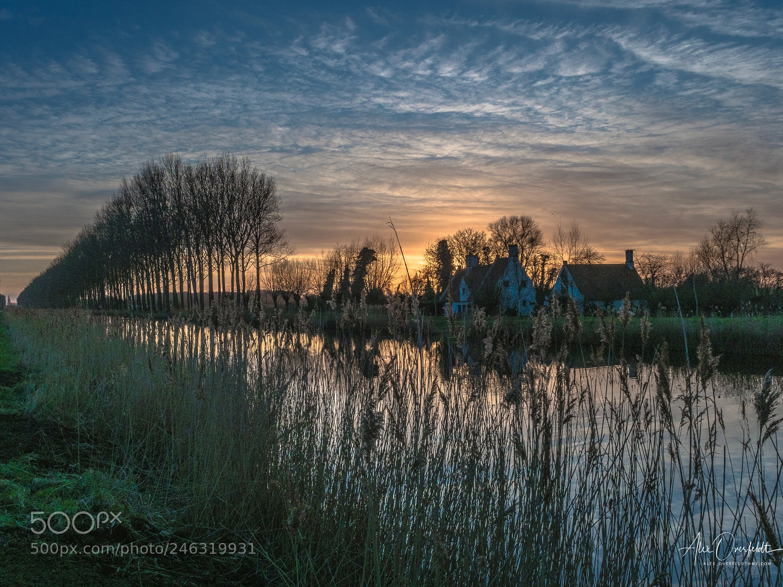 Olympus OM-D E-M1 Mark II sample photo. Sunset at the damse photography