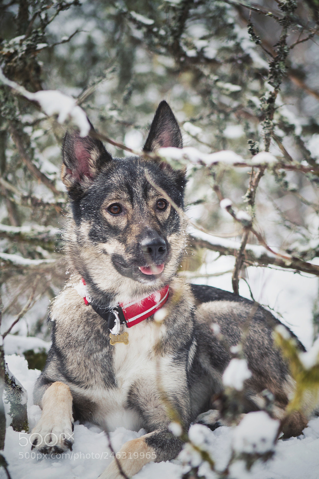 Canon EOS 7D sample photo. Smile photography