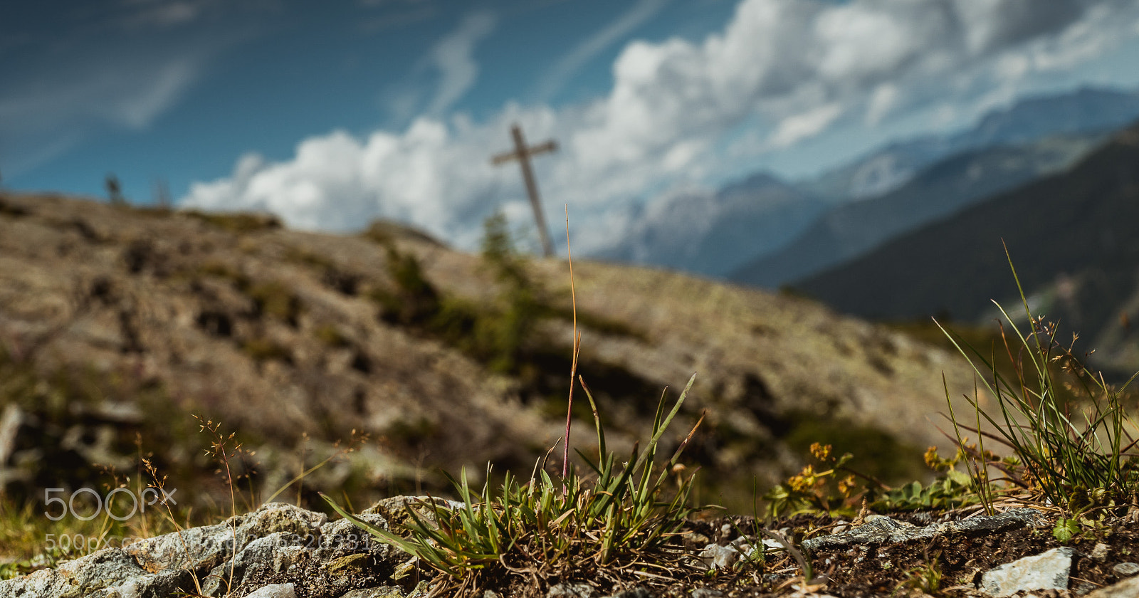Sony a6500 sample photo. Dsc photography