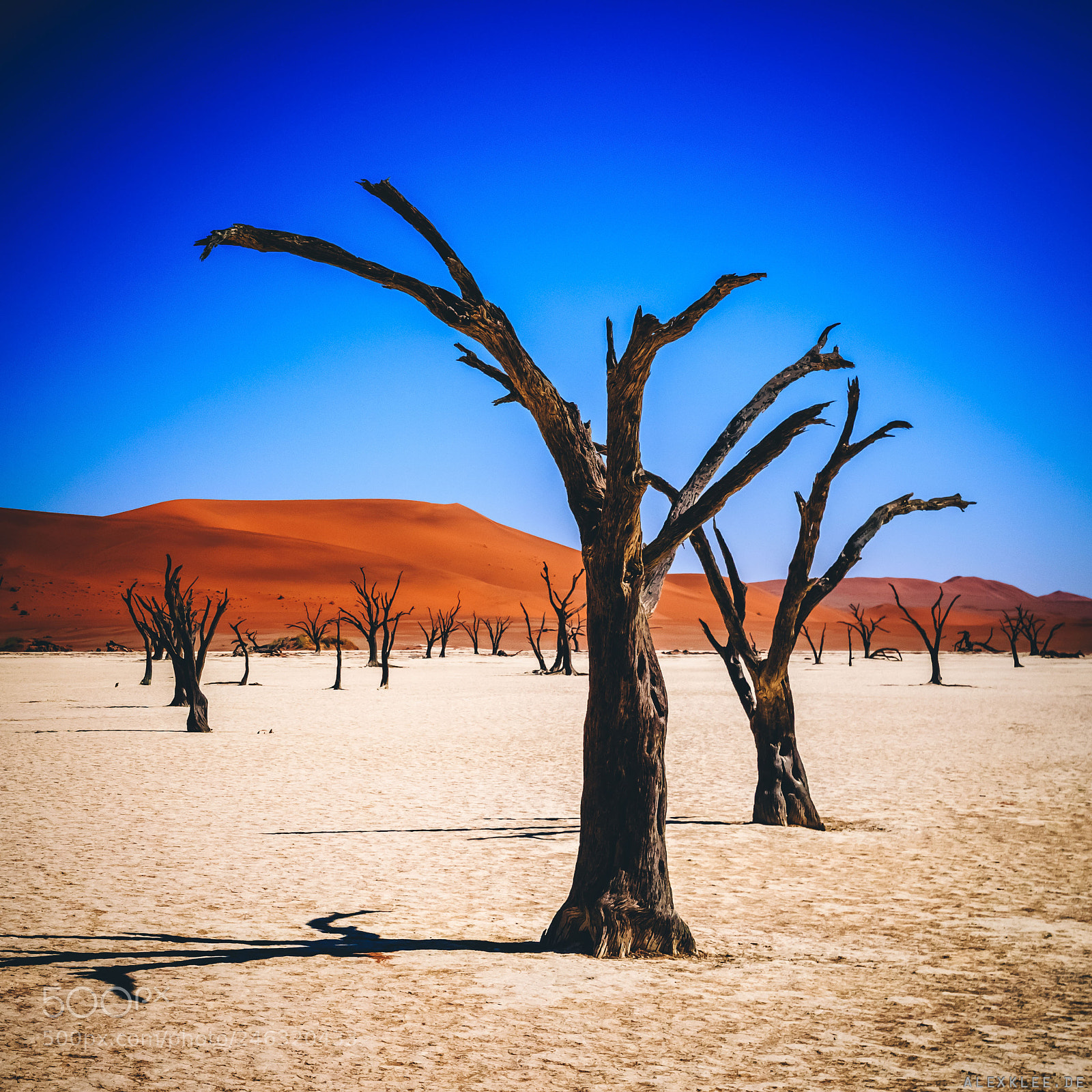 Canon EOS 7D Mark II sample photo. The deadvlei photography