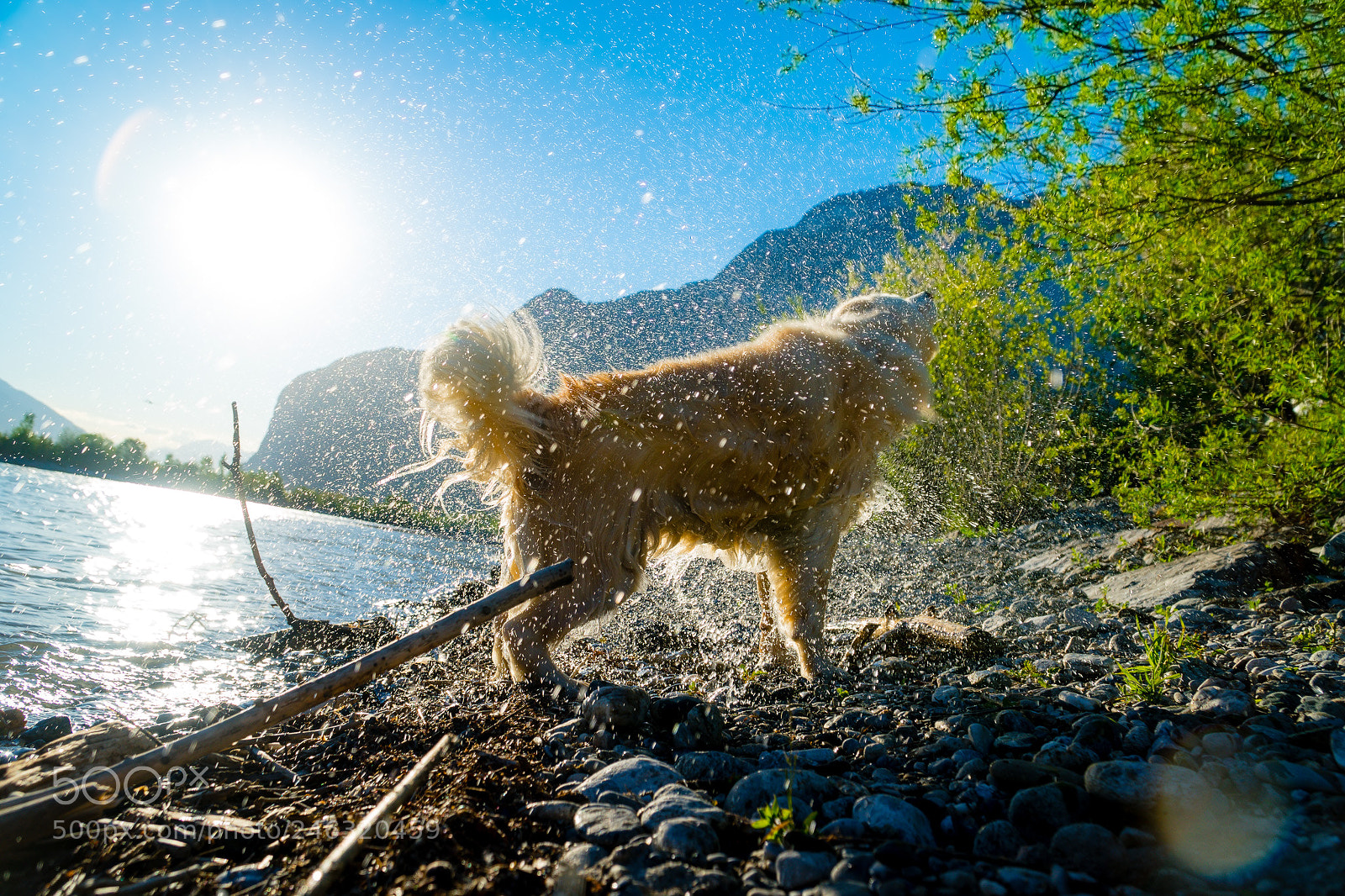 Sony a6500 sample photo. Dsc photography