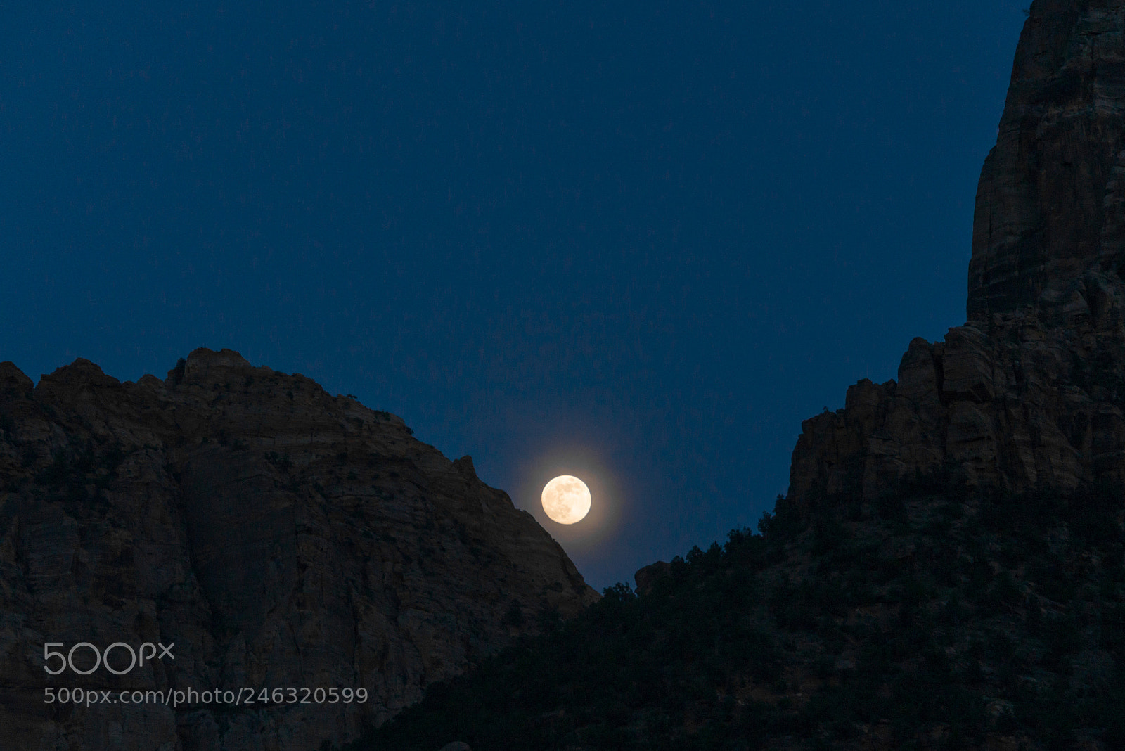 Nikon D600 sample photo. Full moon at zion photography