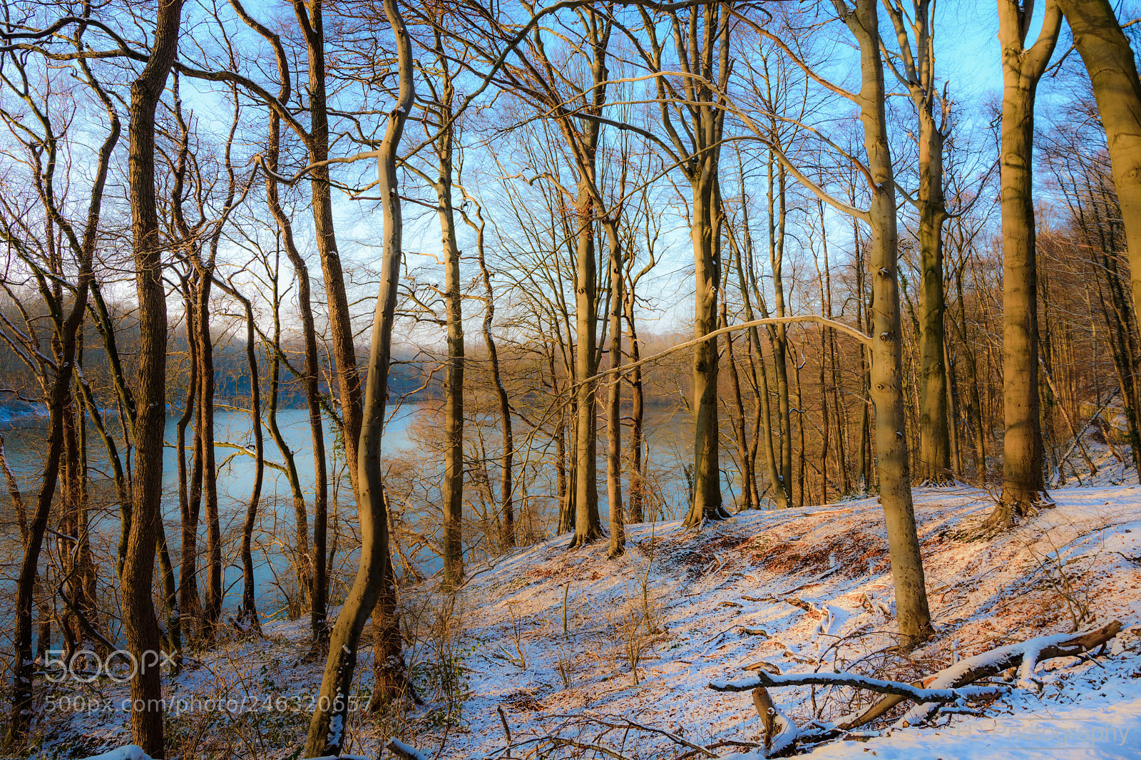 Nikon D7100 sample photo. Dreamy forest lake photography
