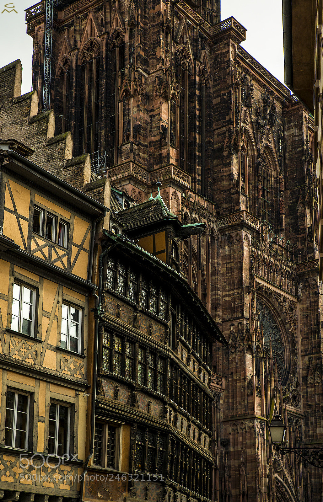 Nikon D4 sample photo. Strasbourg - 1 photography