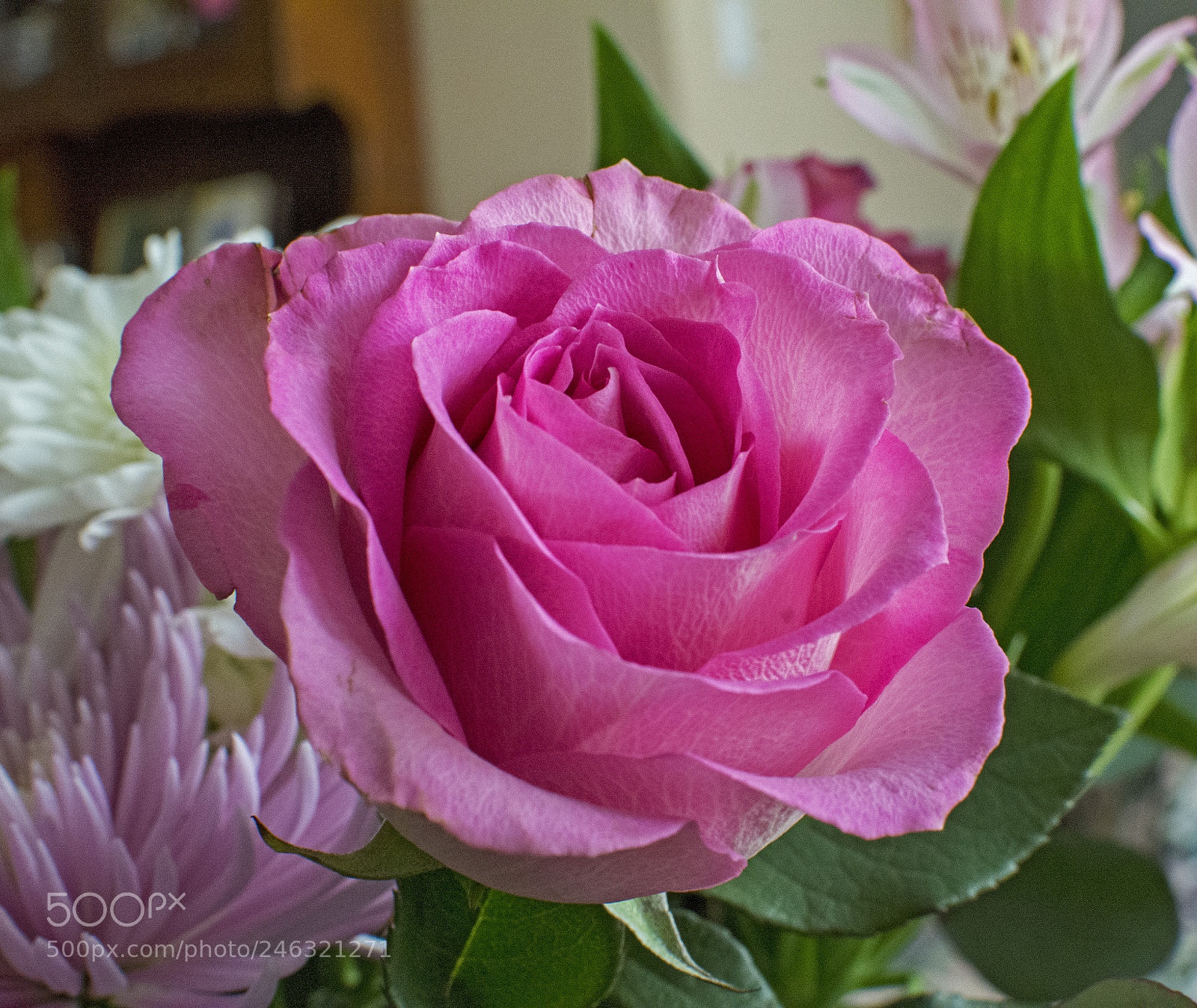 Nikon D7100 sample photo. Ed r photography