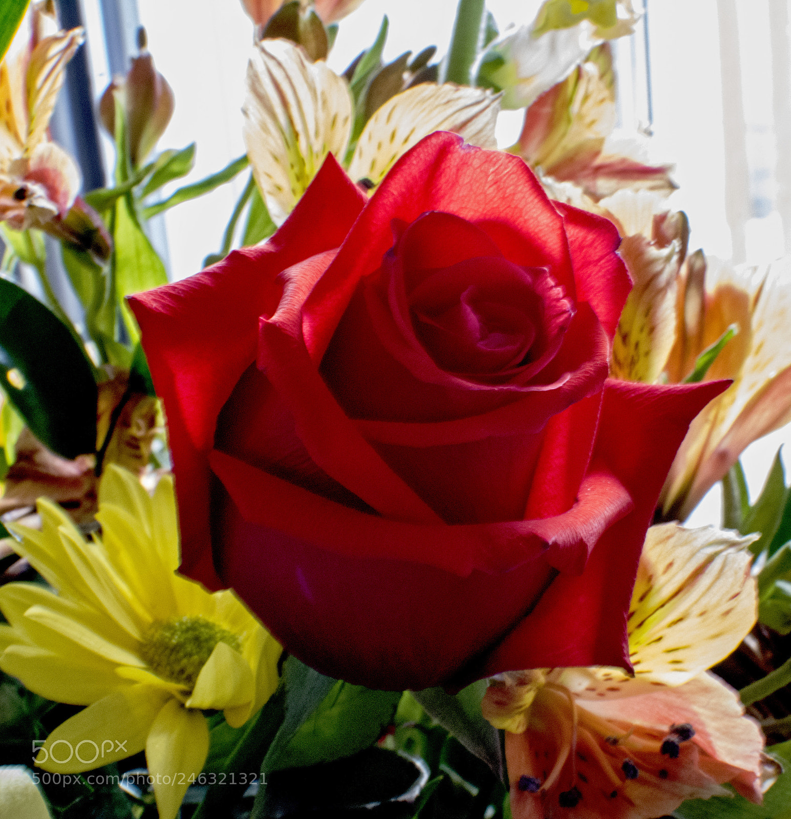 Nikon D7100 sample photo. Ed r photography