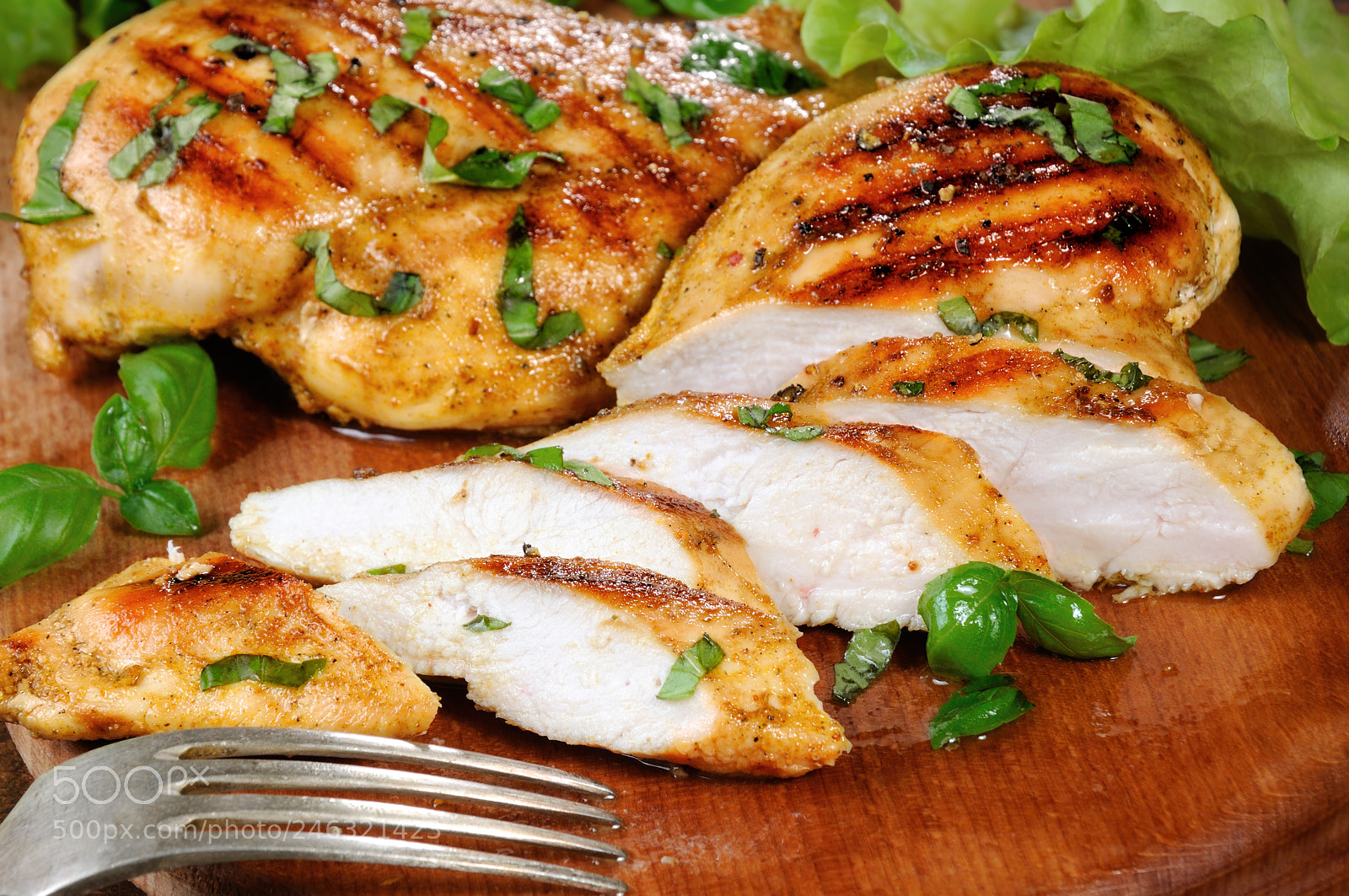 Nikon D90 sample photo. Grilled chicken breast photography