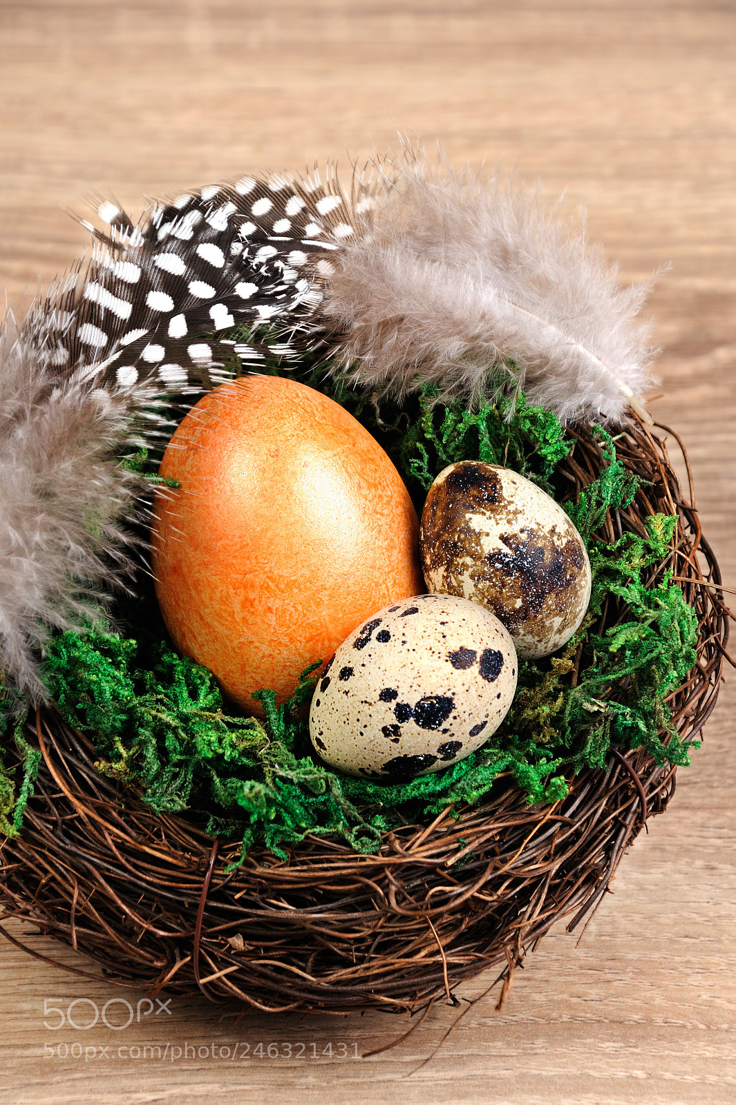 Nikon D90 sample photo. Quail easter eggs in photography