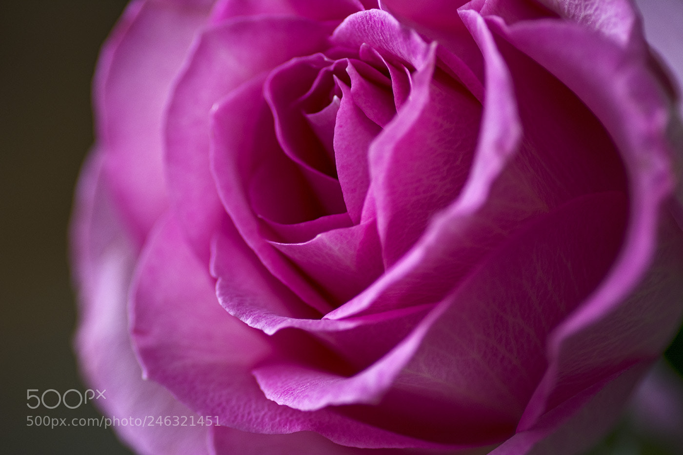 Nikon D7100 sample photo. Ed r sized photography