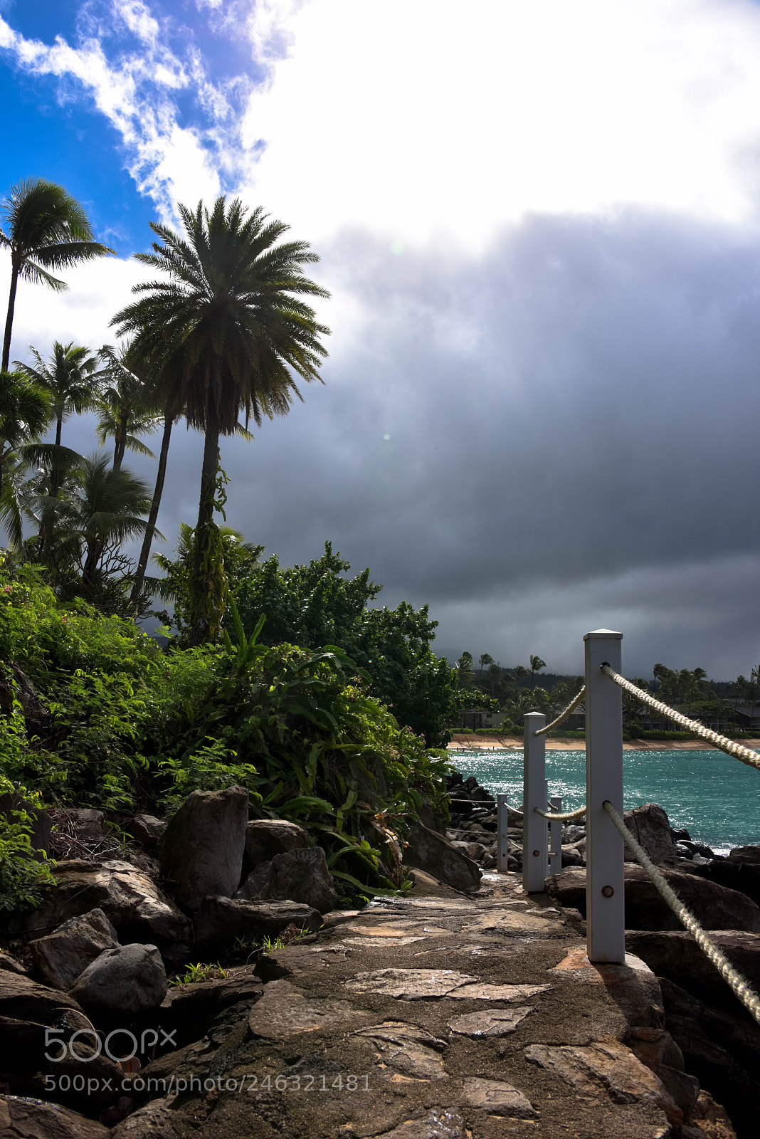 Nikon D810 sample photo. Beach path! photography