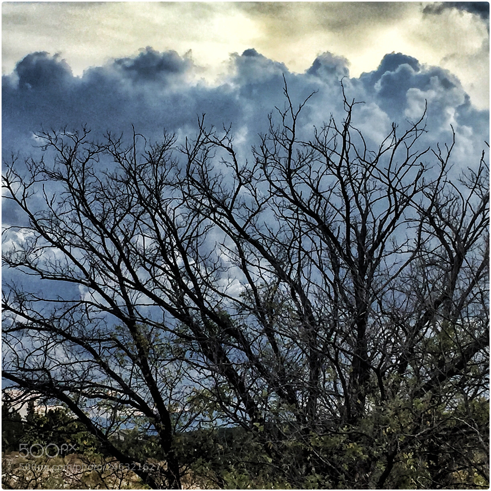 Apple iPhone 6 sample photo. Cloud tree, santa fe photography