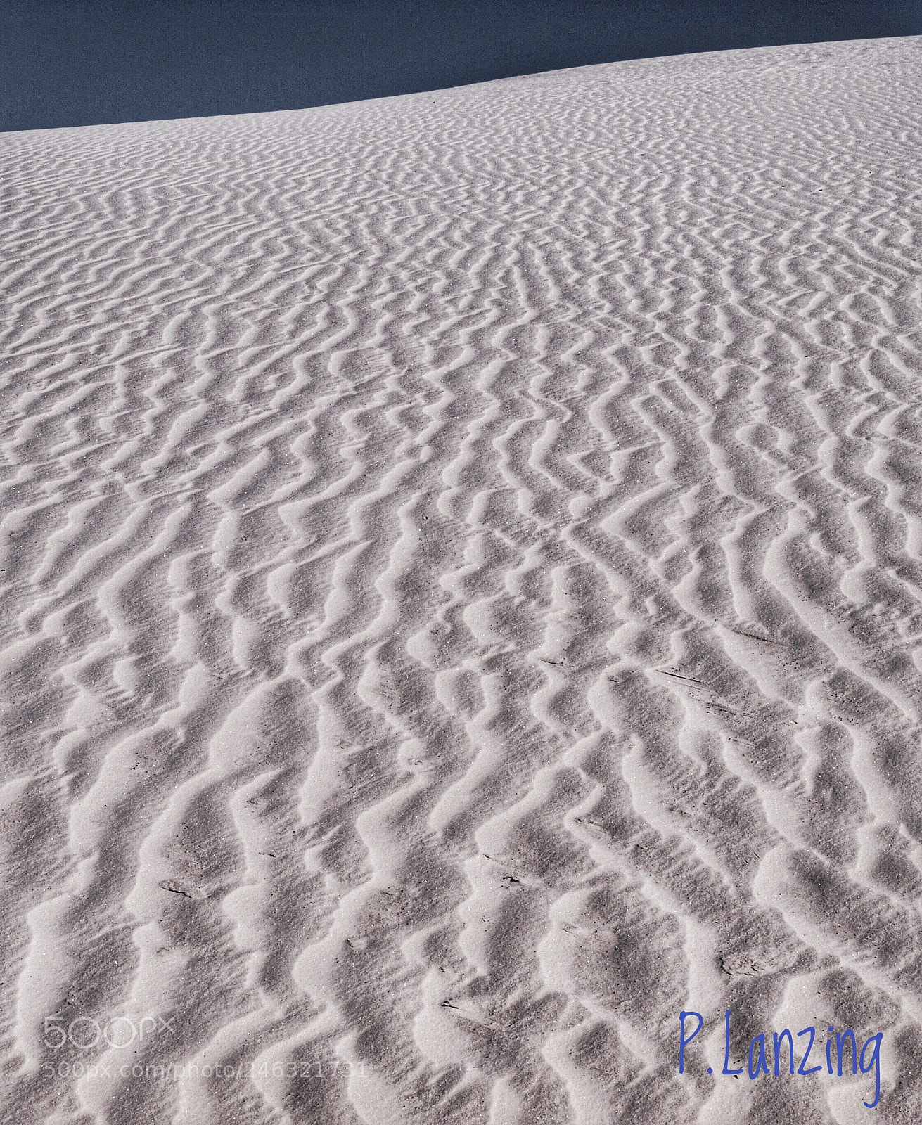 Olympus E-3 sample photo. White sands photography