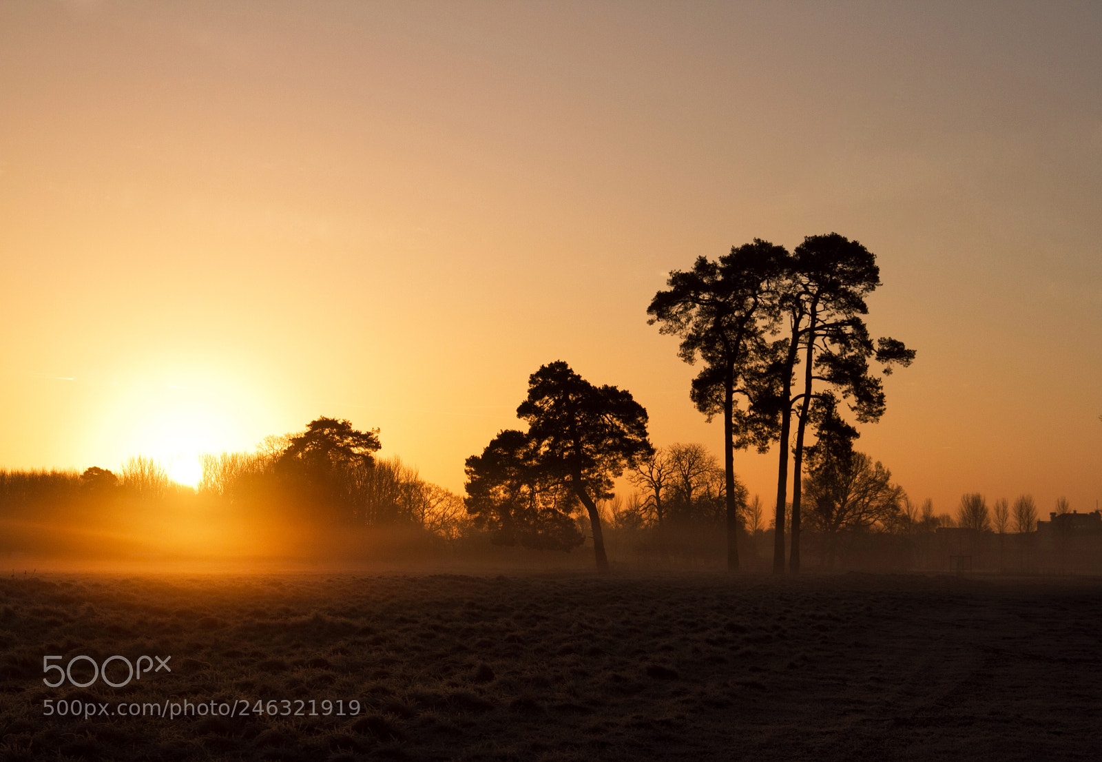 Canon EOS 7D sample photo. Winter sunrise photography