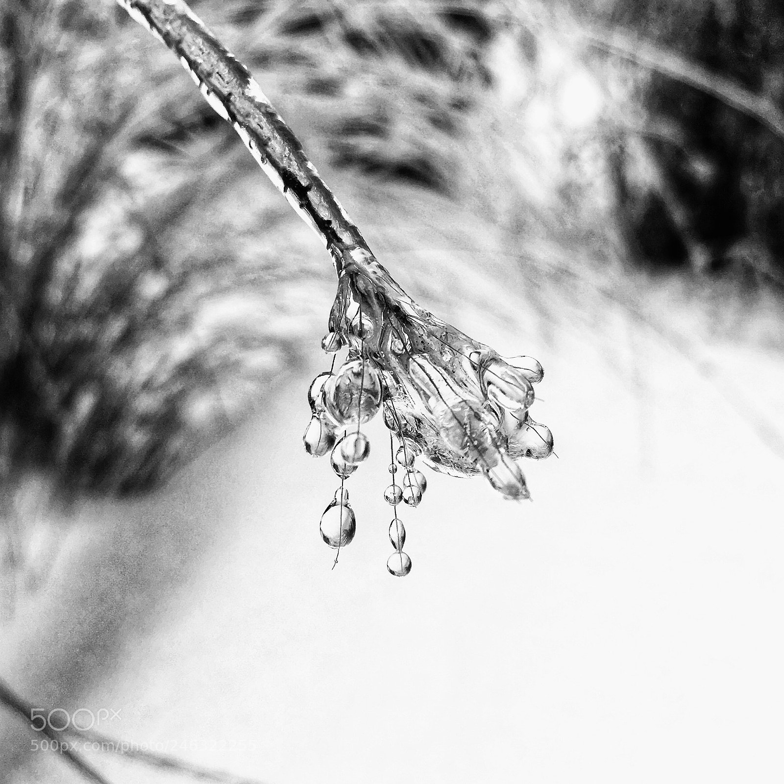 Apple iPhone 6s sample photo. Frozen raindrop photography