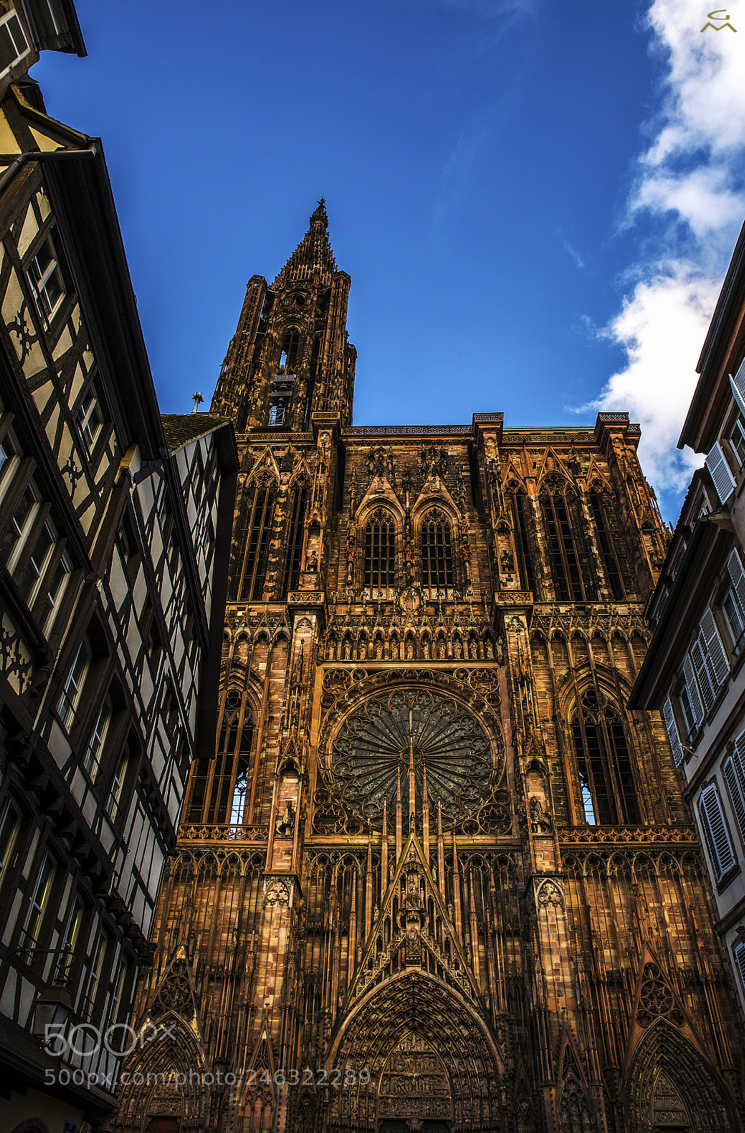 Nikon D4 sample photo. Strasbourg - 2 photography