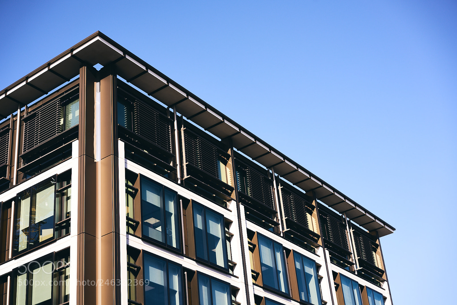 Sony a7R II sample photo. Day forty seven photography