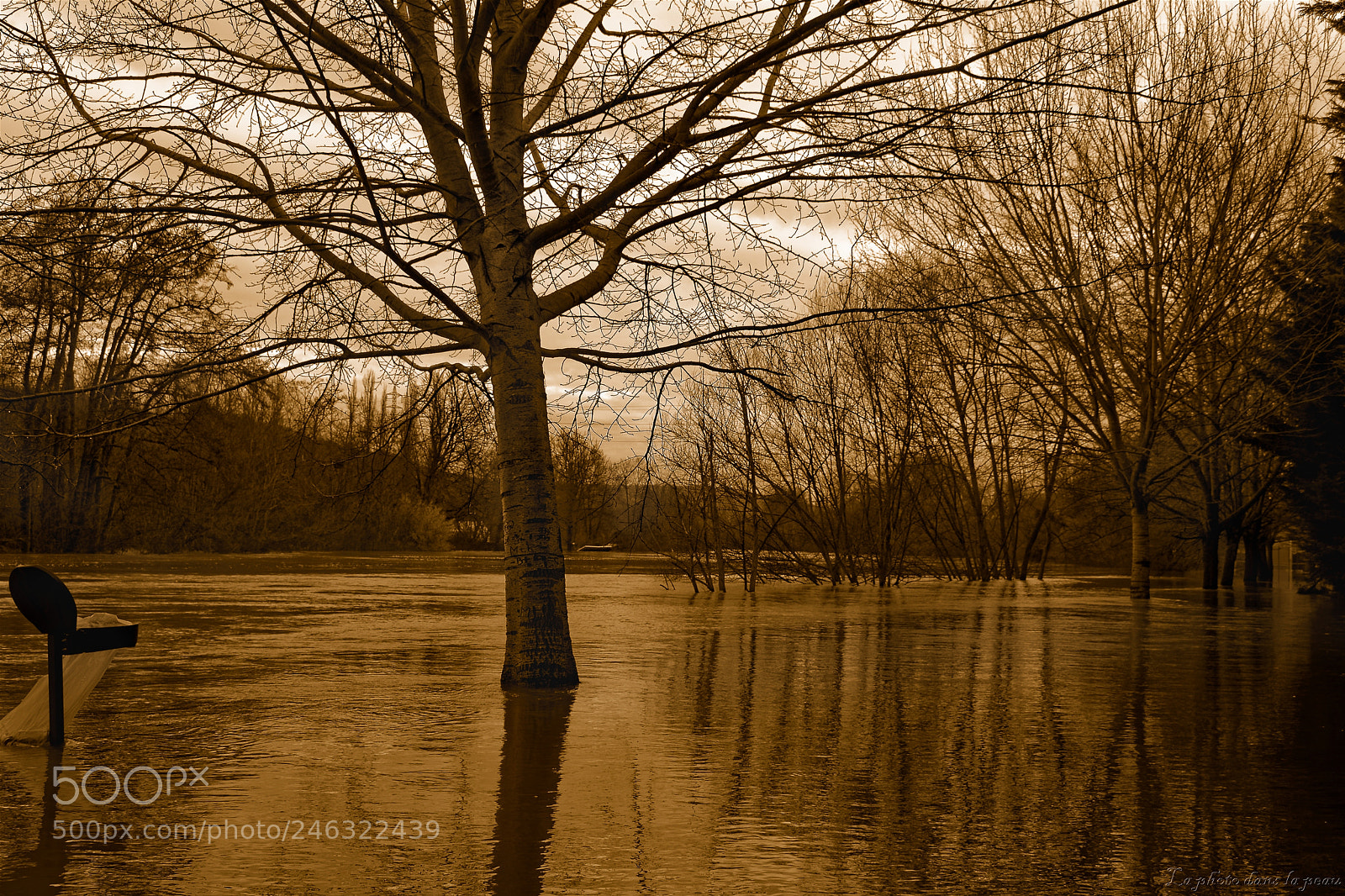 Nikon D7200 sample photo. Untitled photography