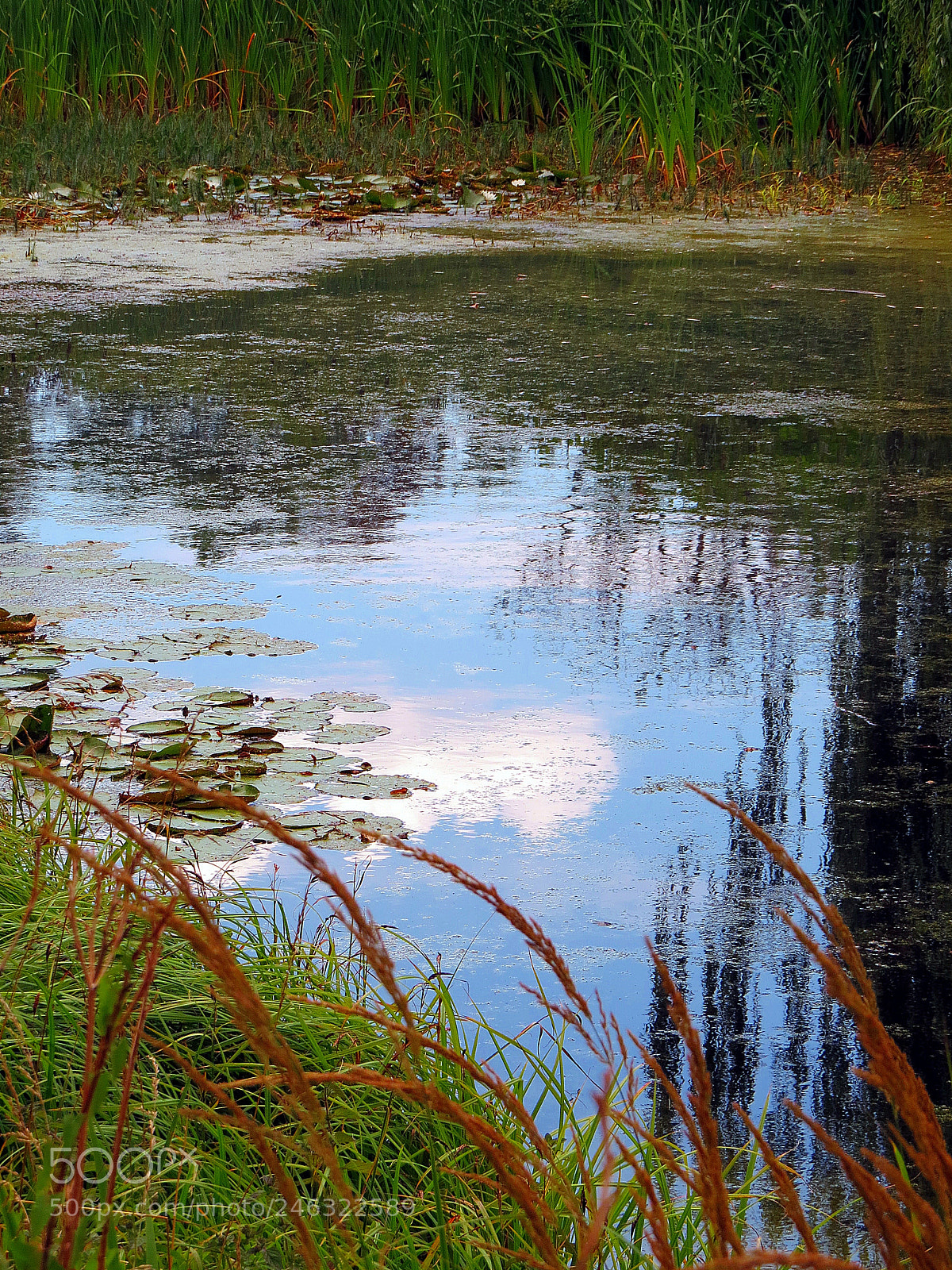 Canon PowerShot SX50 HS sample photo. Wet sky photography