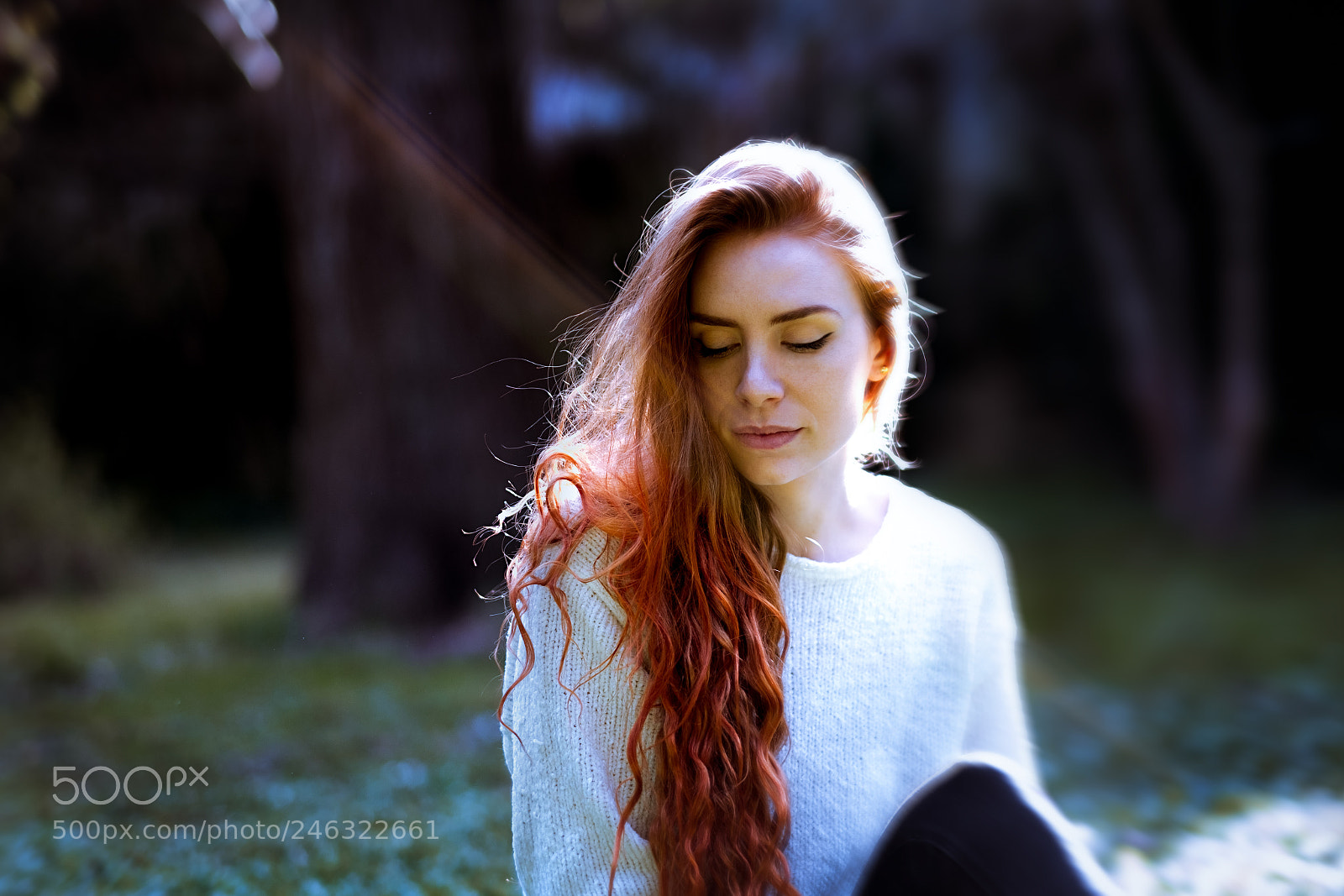 Fujifilm X-T2 sample photo. Sweetness photography