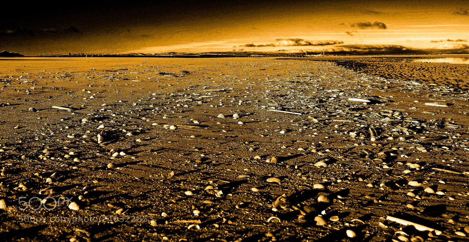 Nikon D5200 sample photo. The beach photography