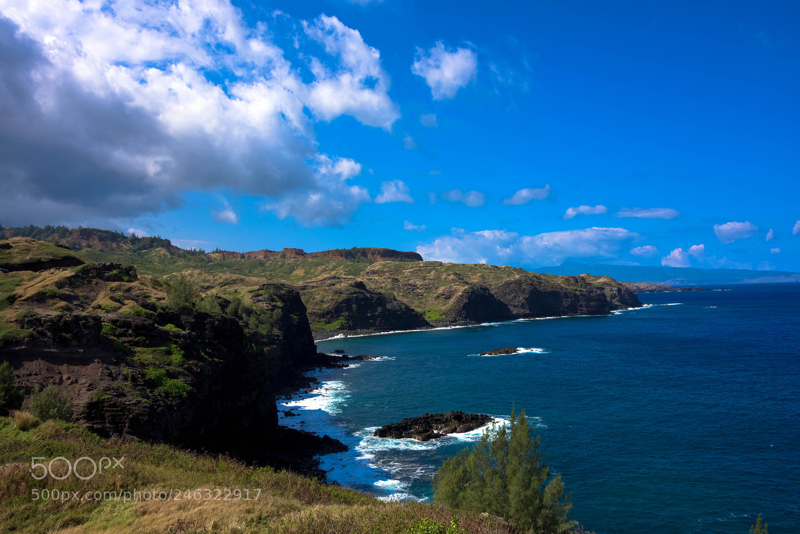Nikon D810 sample photo. Rugged coastline! photography