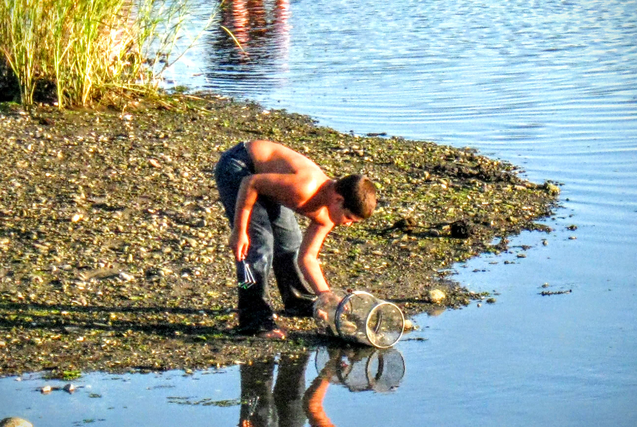 Canon PowerShot A590 IS sample photo. ..crab catcher .. photography