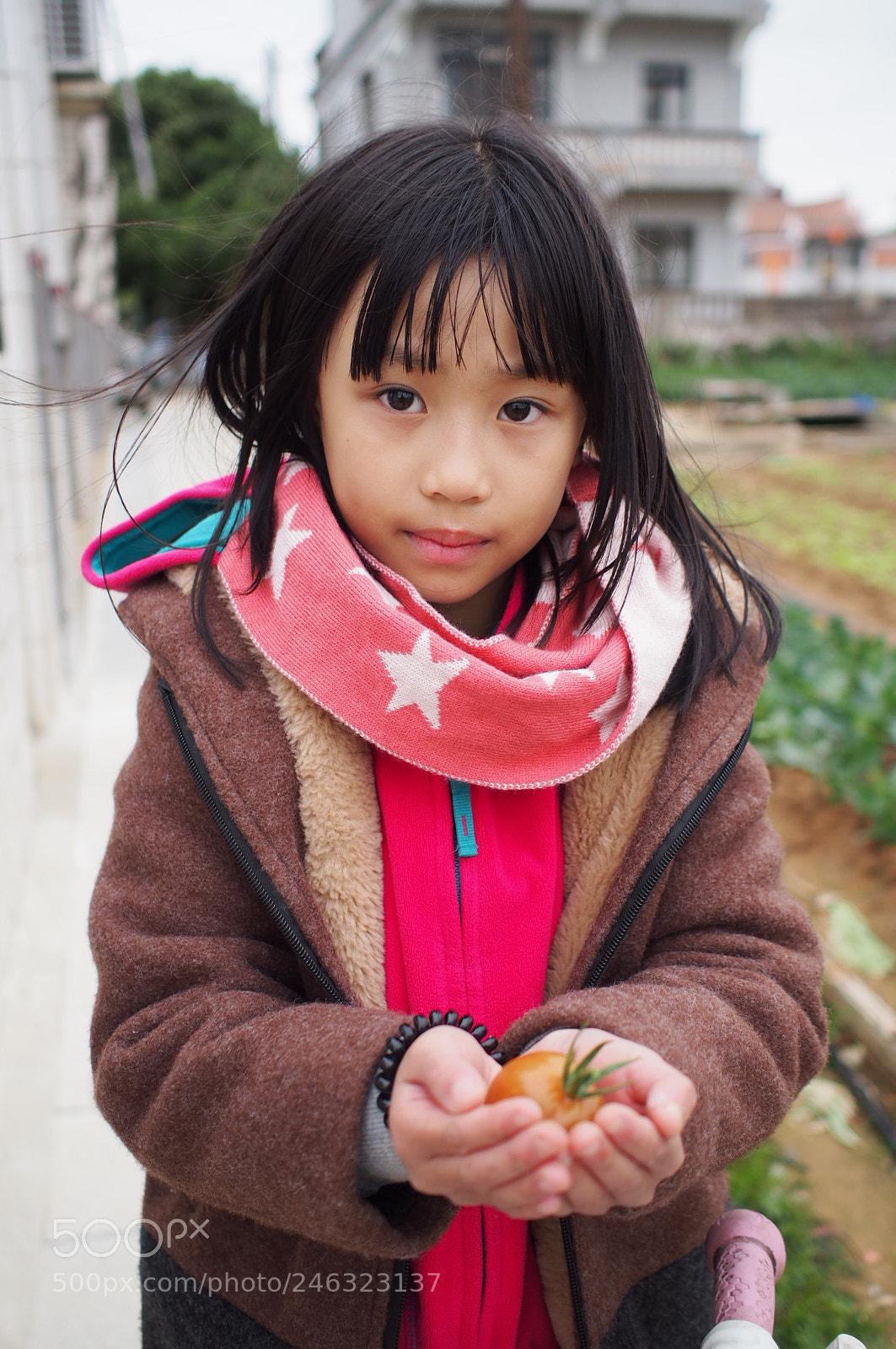 Olympus PEN E-P5 sample photo. Untitled photography