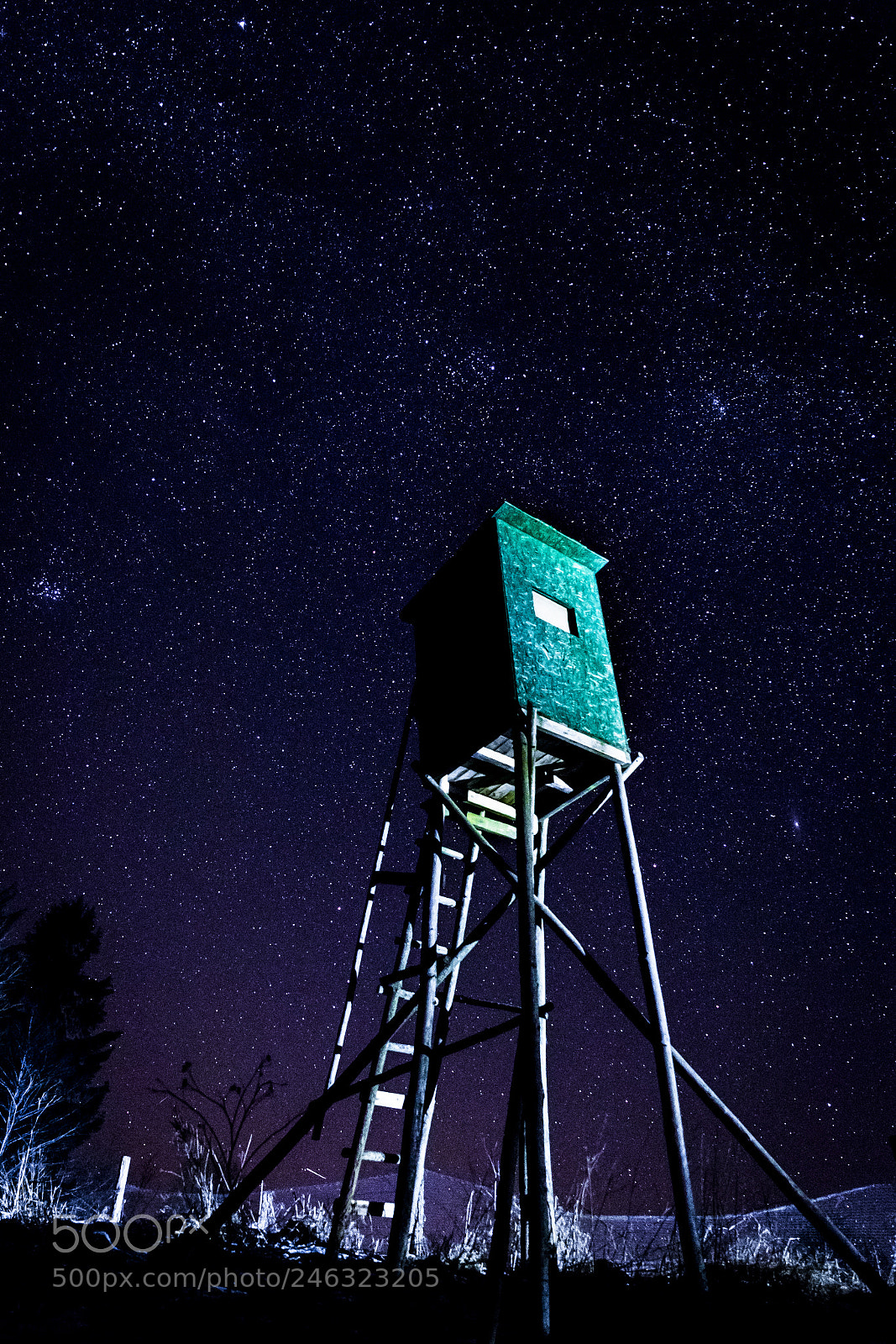 Canon EOS 6D Mark II sample photo. Platorm with stars photography