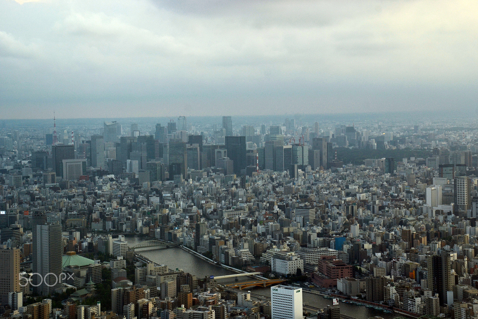 Nikon D3100 sample photo. Tokyo skyline 🗼 photography