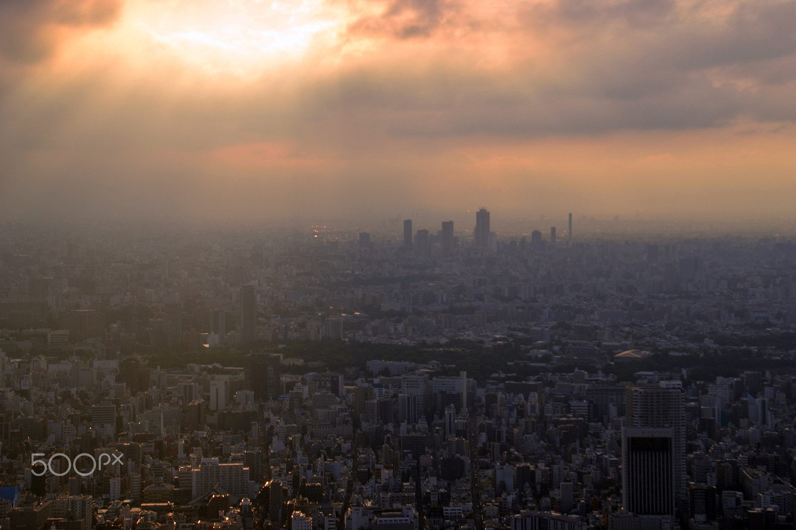 Nikon D3100 sample photo. Tokyo skyline 🗼 photography
