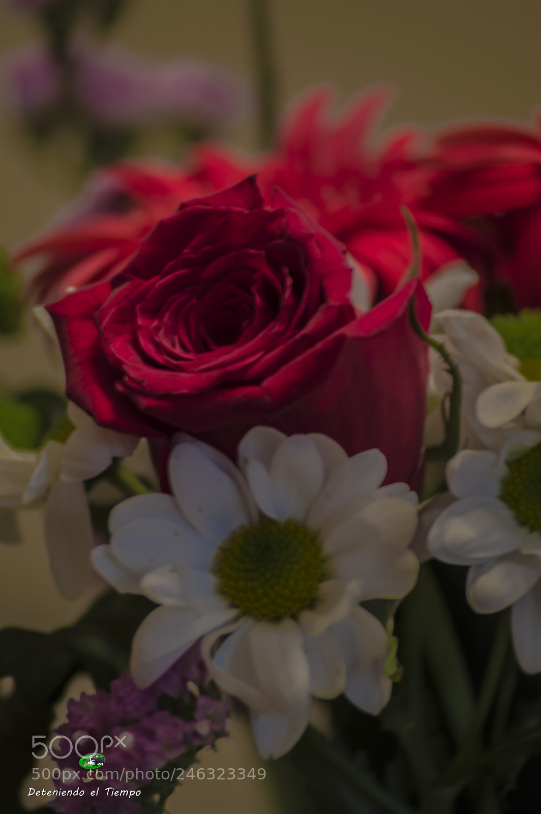 Nikon D3200 sample photo. Flores photography