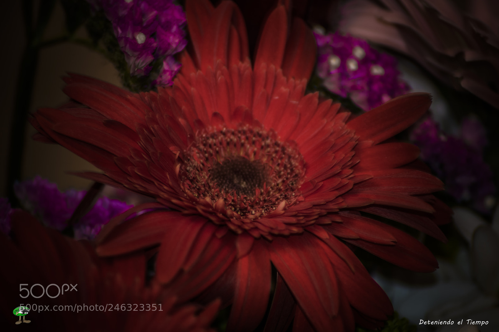 Nikon D3200 sample photo. Flores photography