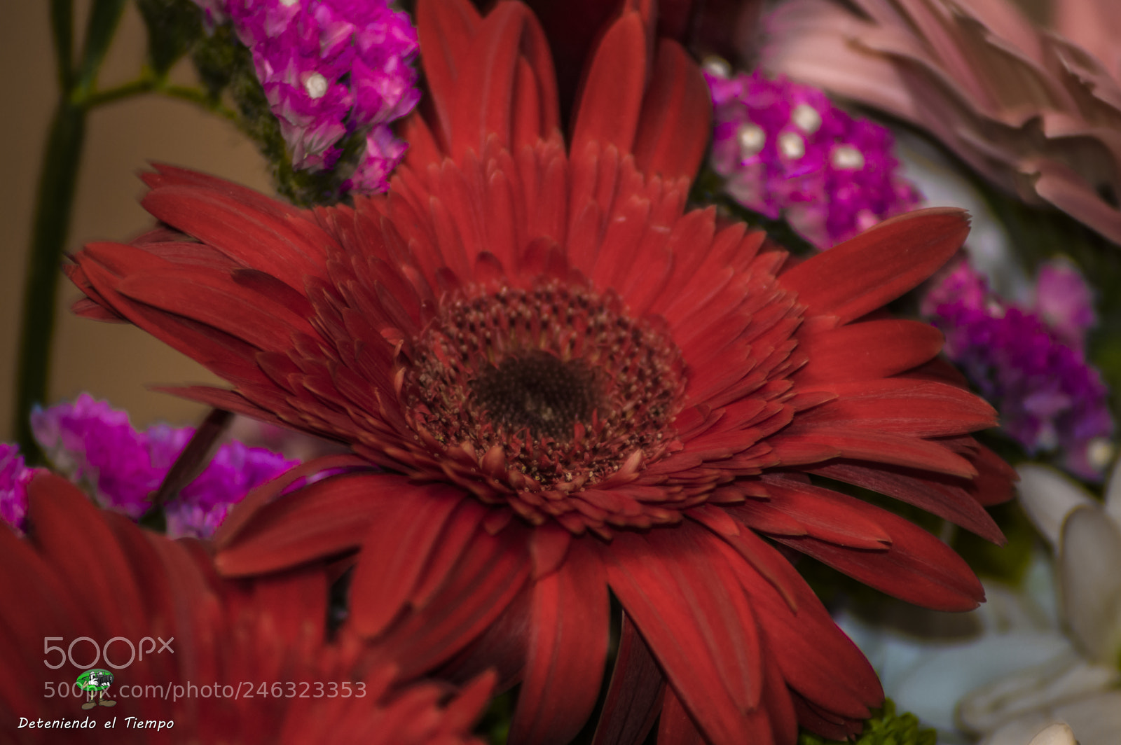 Nikon D3200 sample photo. Flores photography