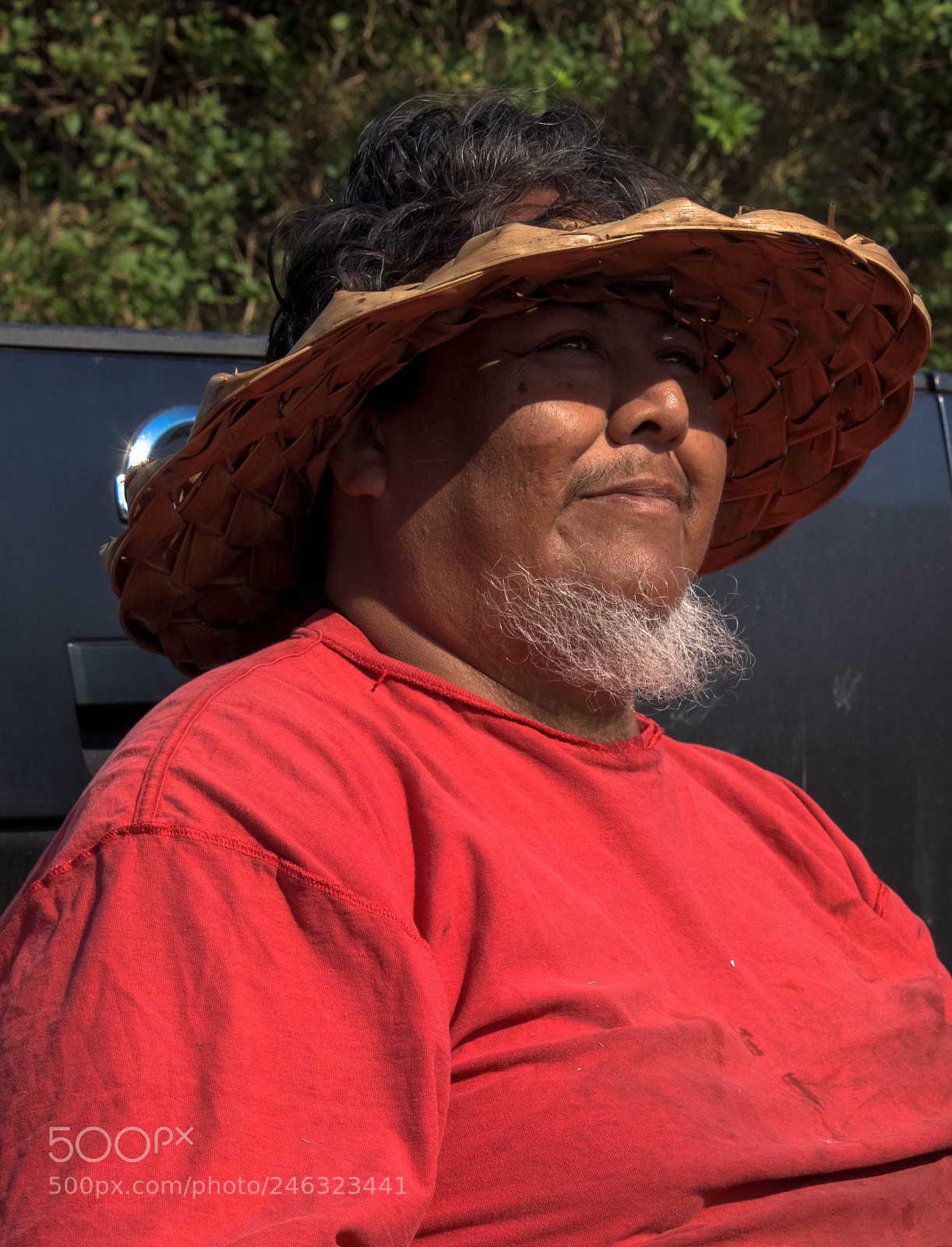 Nikon D810 sample photo. Face of hawaii! photography