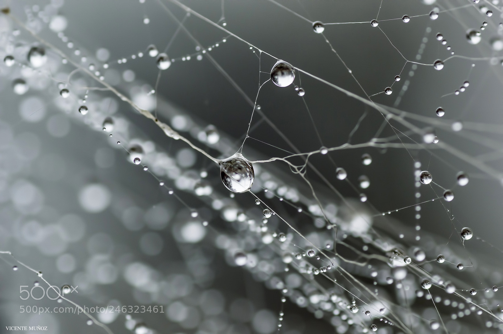 Nikon D3200 sample photo. Micromundos photography