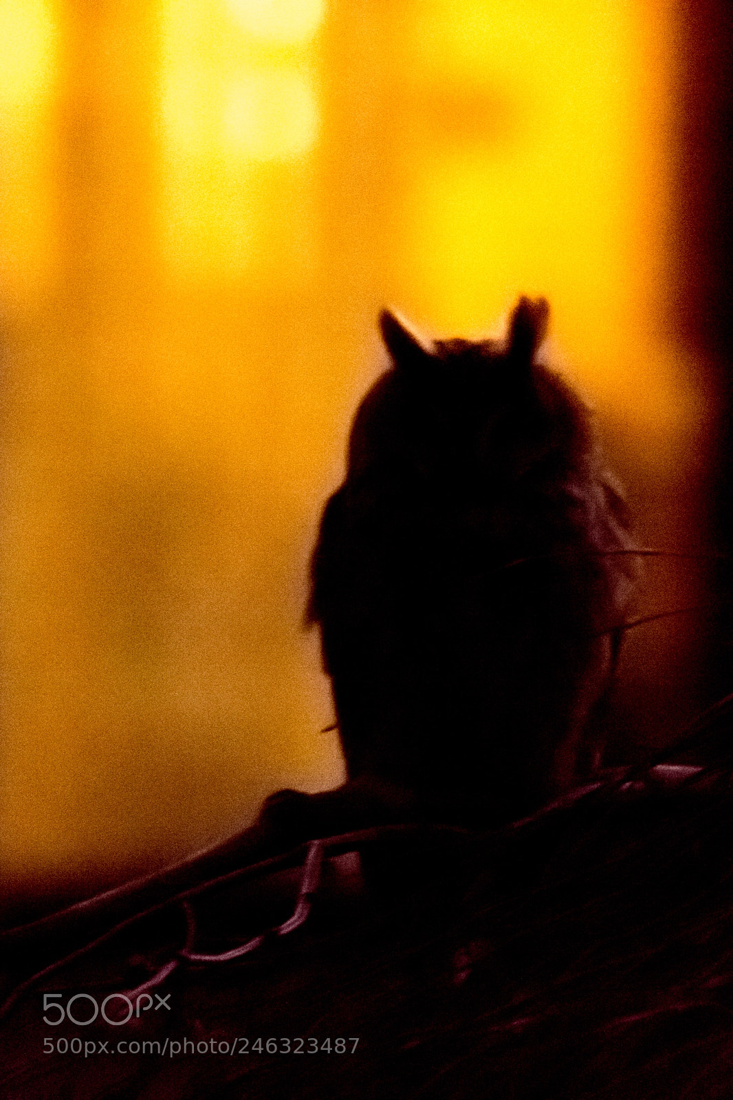 Canon EOS 60D sample photo. Tonight in the city... photography