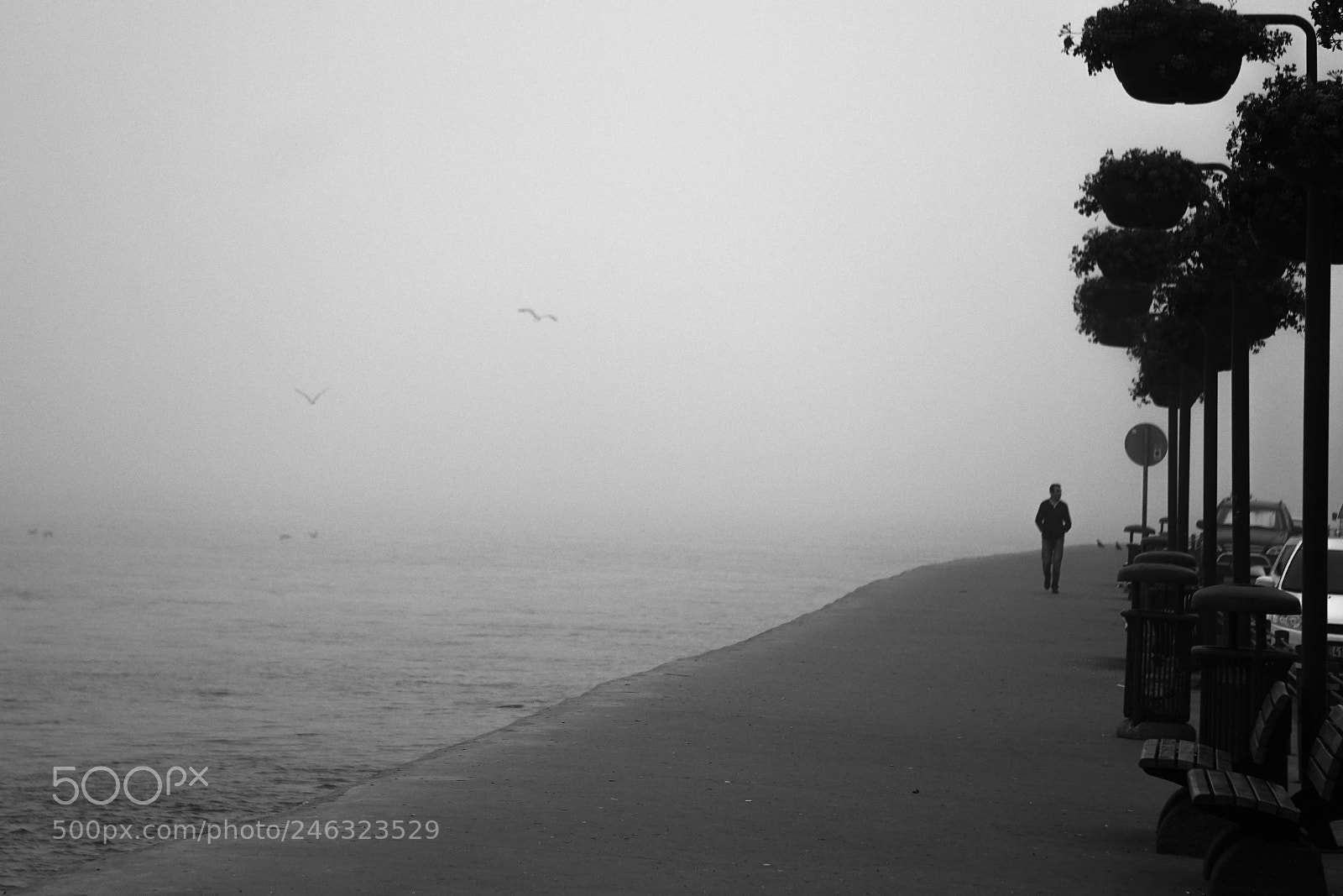 Sony a6300 sample photo. Morning walk by the photography