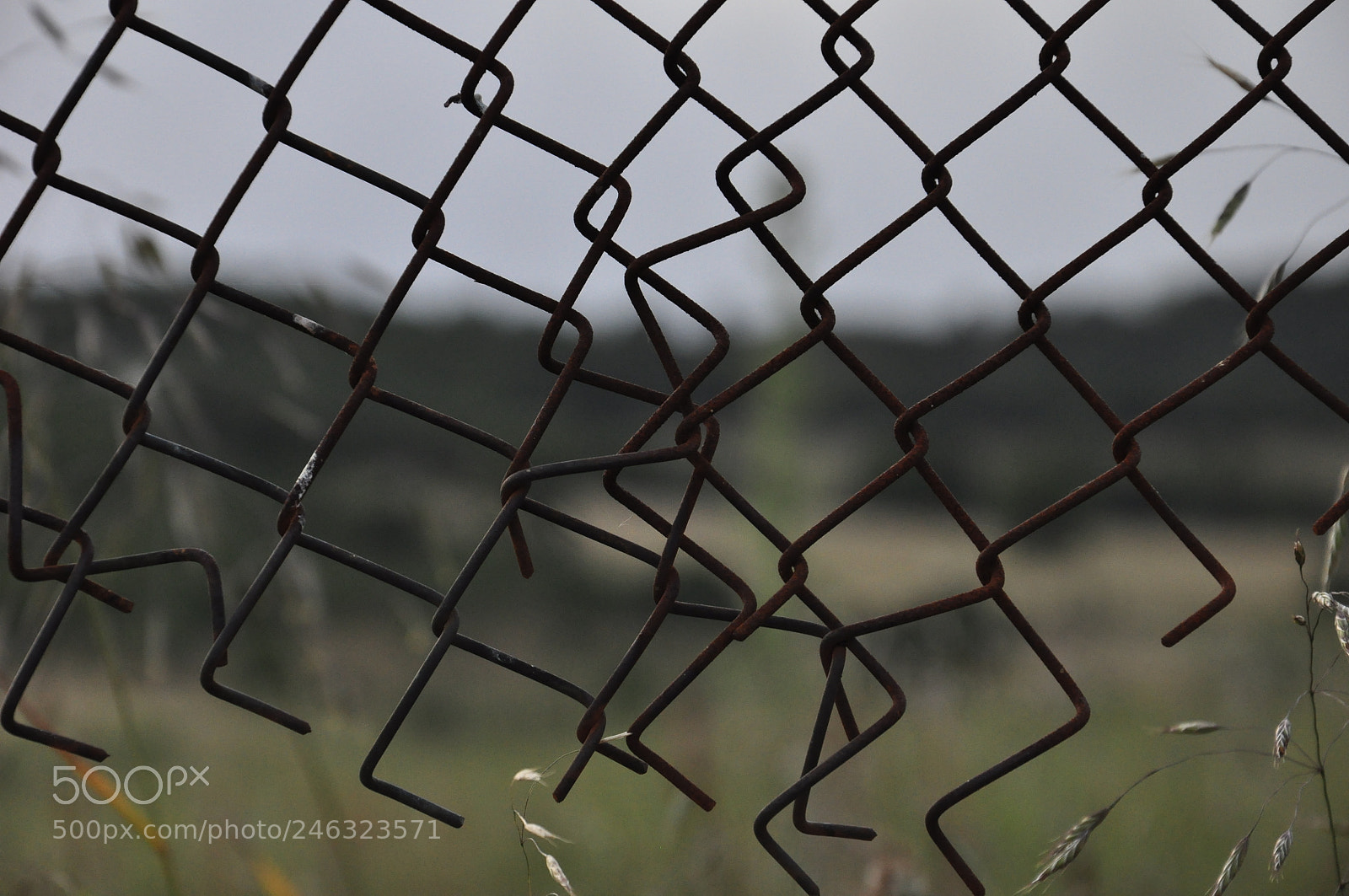 Nikon D90 sample photo. Freedom photography